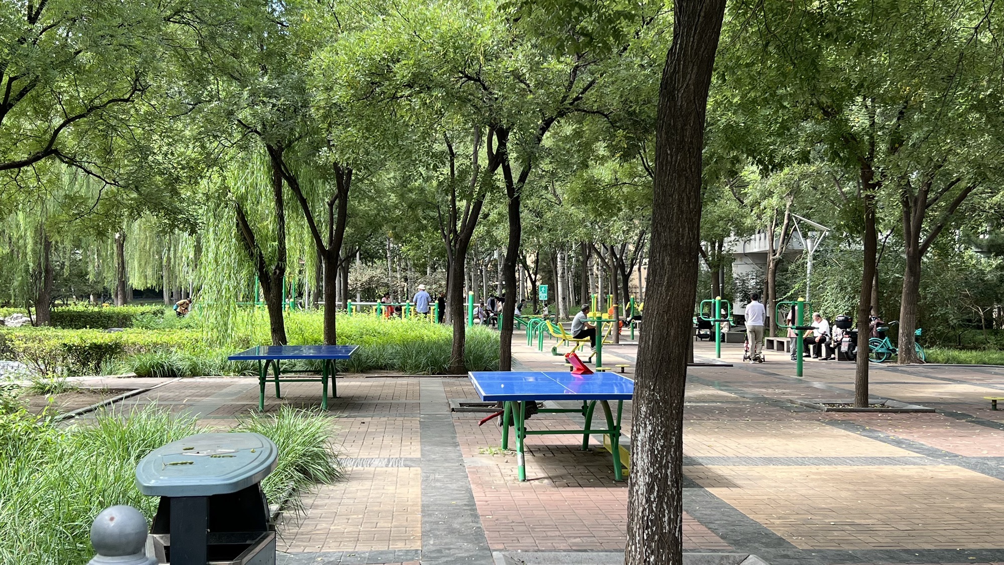 丰益公园旅行图片 3