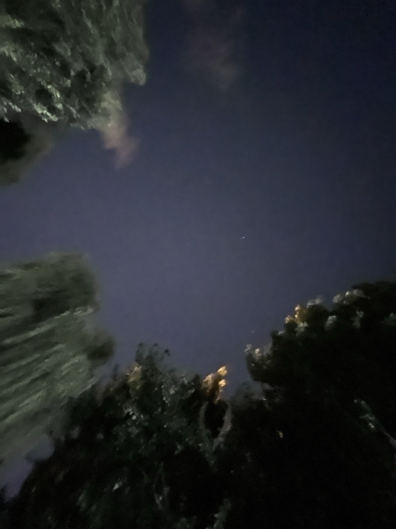丰益公园旅行图片 3