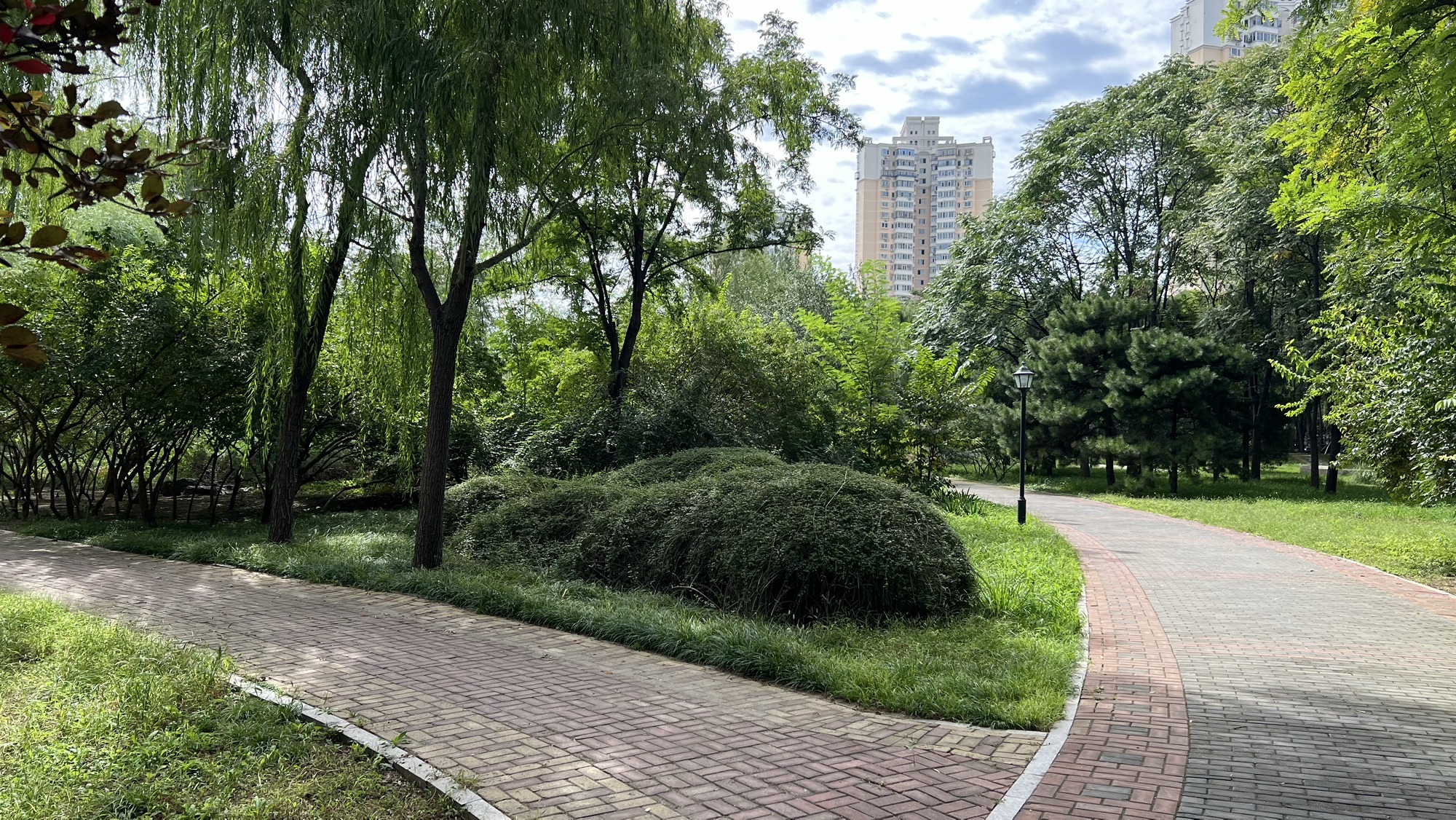 丰益公园旅行图片 2