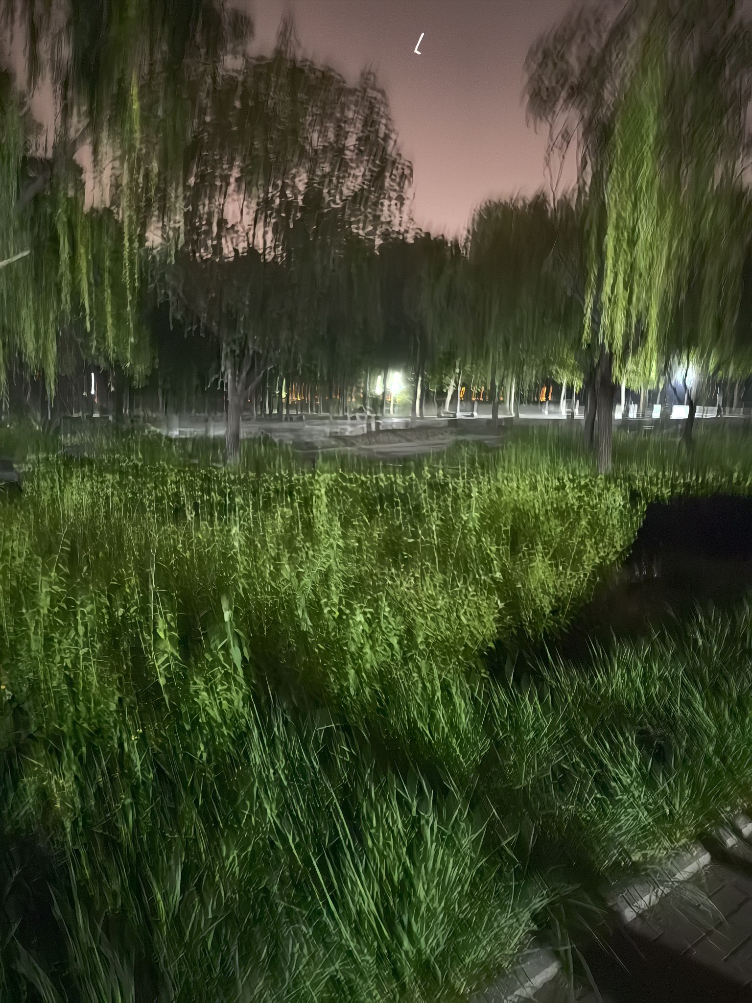 丰益公园旅行图片 2