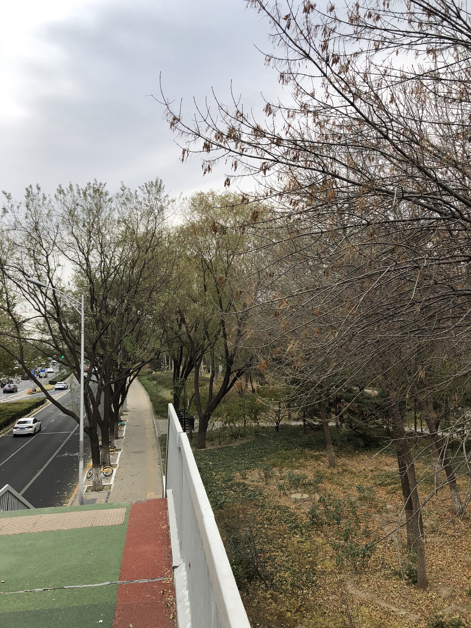 丰益公园旅行图片 3
