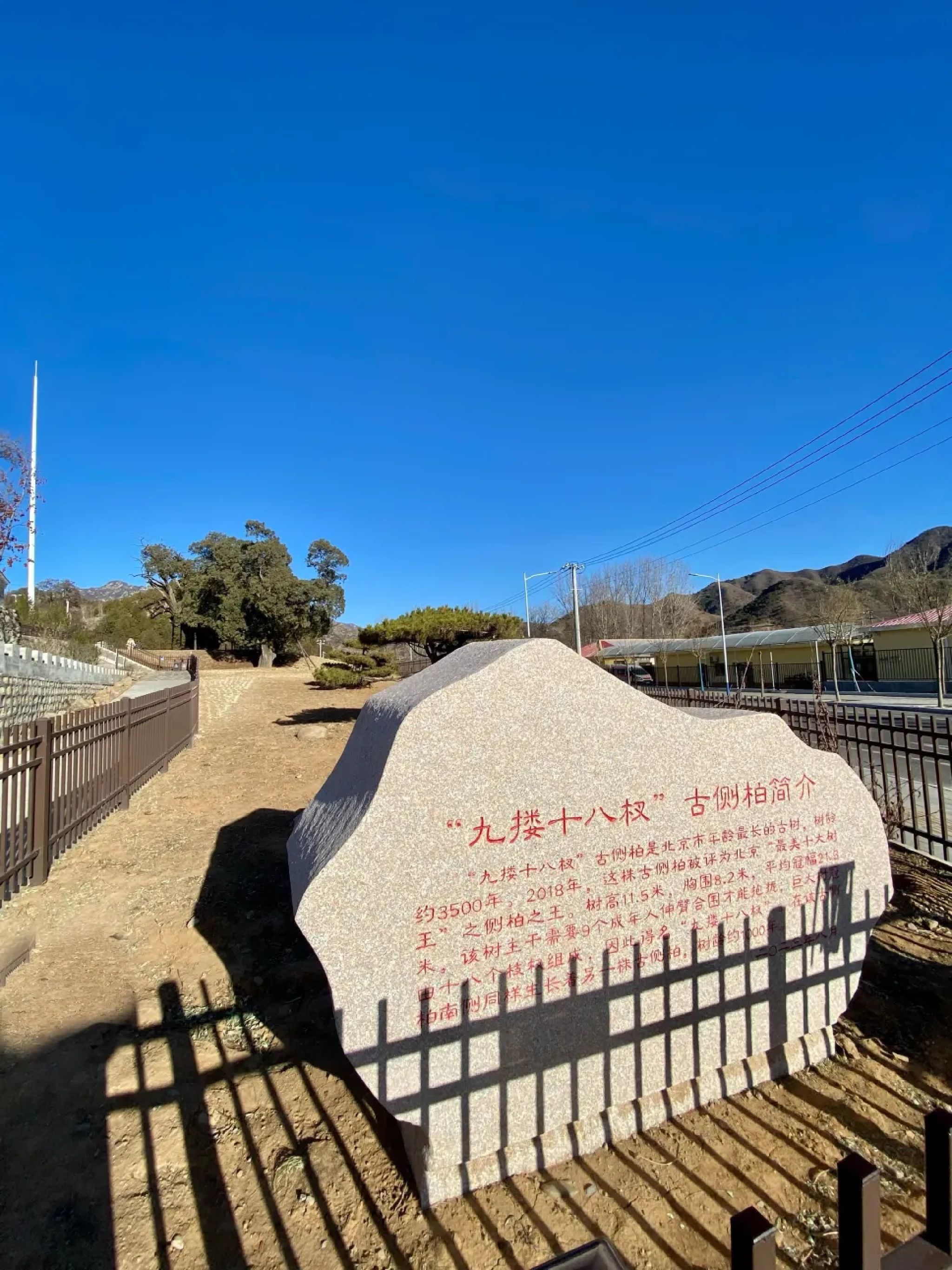 柏神公园旅行图片 1
