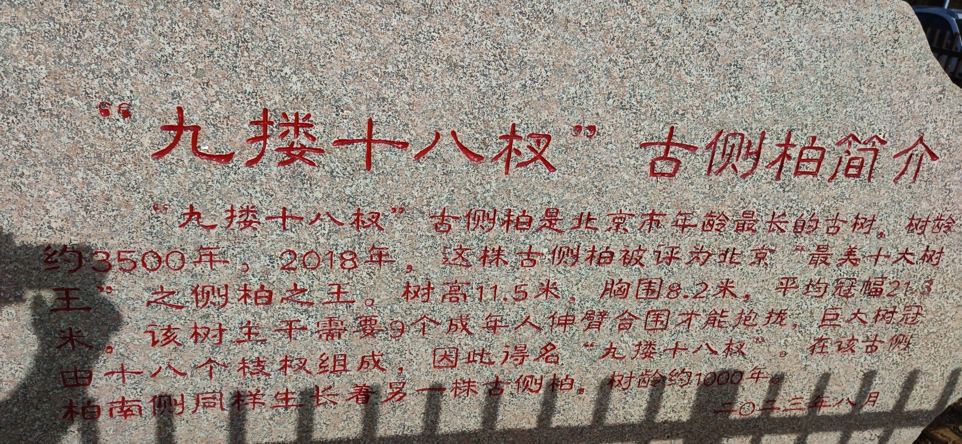柏神公园旅行图片 2