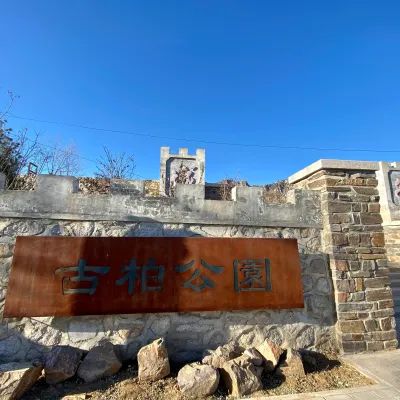 柏神公园旅行图片 2