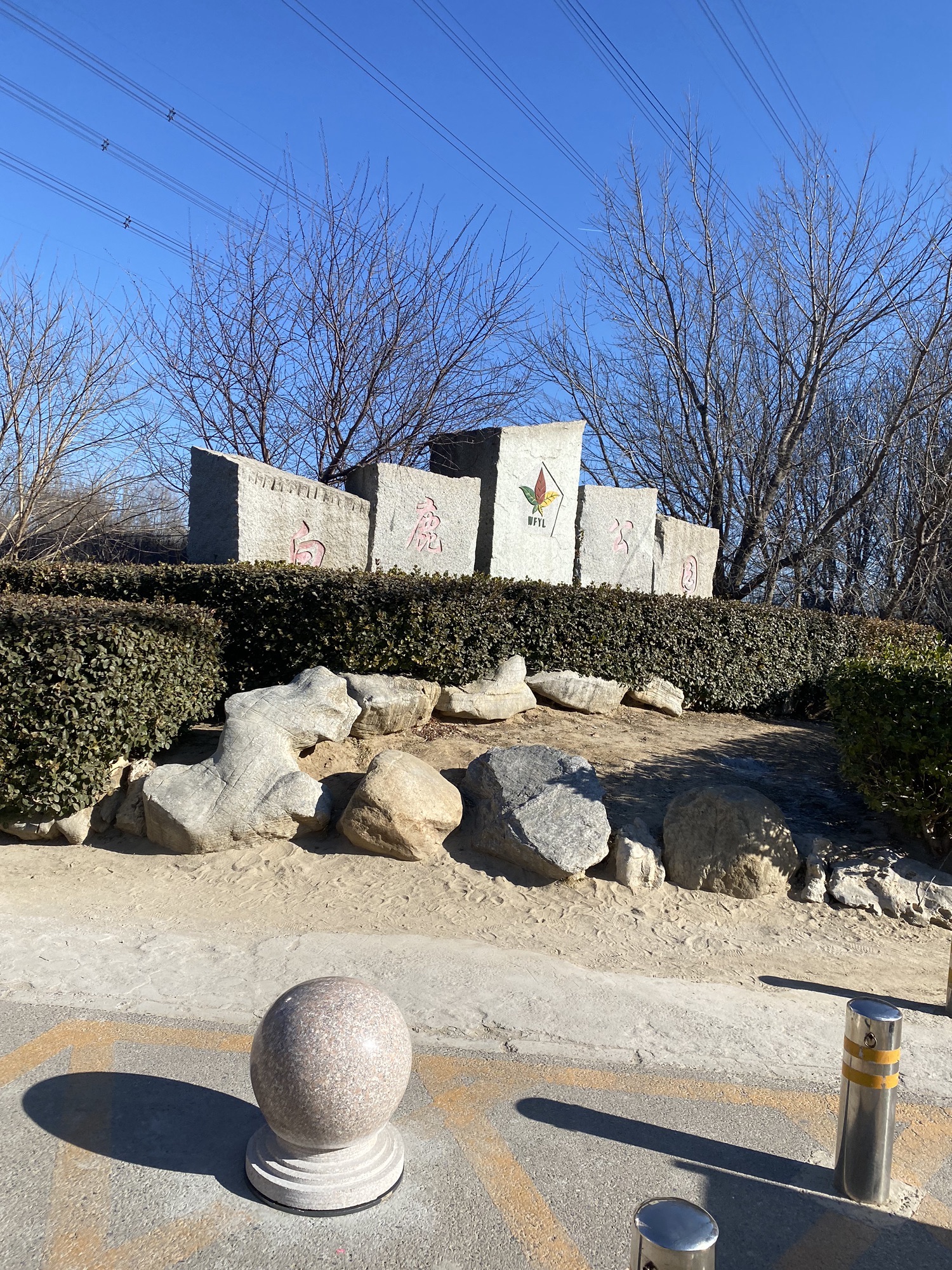 白鹿公园旅行图片 1