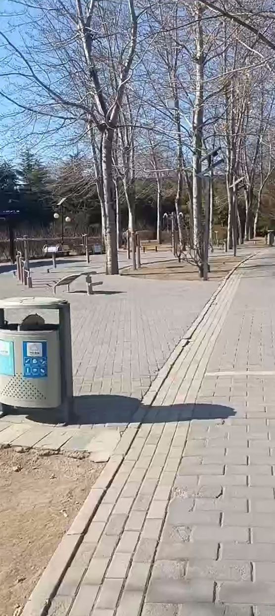 白鹿公园旅行图片 1