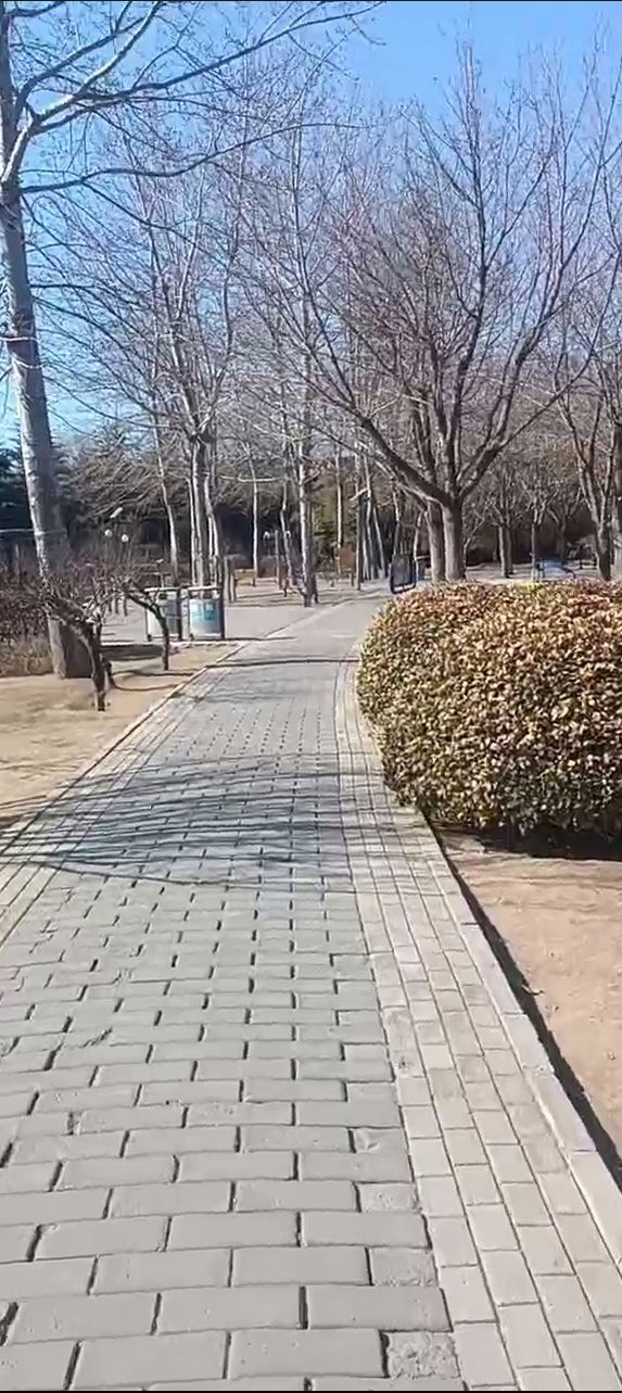 白鹿公园旅行图片 3