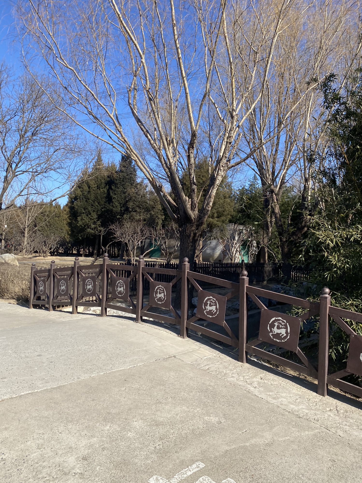 白鹿公园旅行图片 3