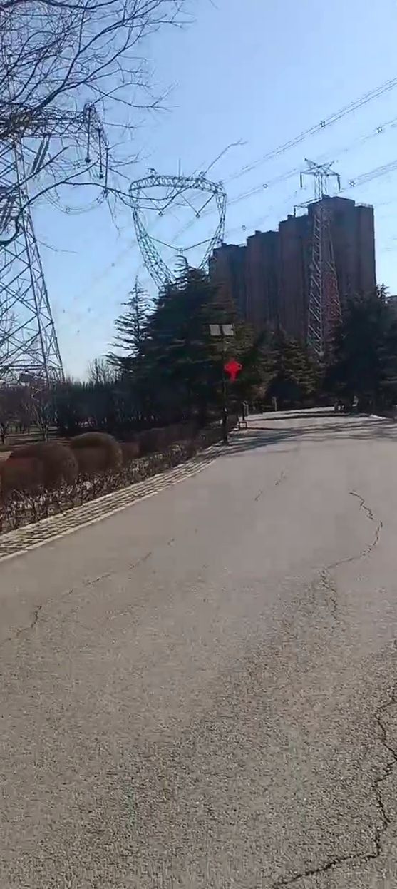 白鹿公园旅行图片 2