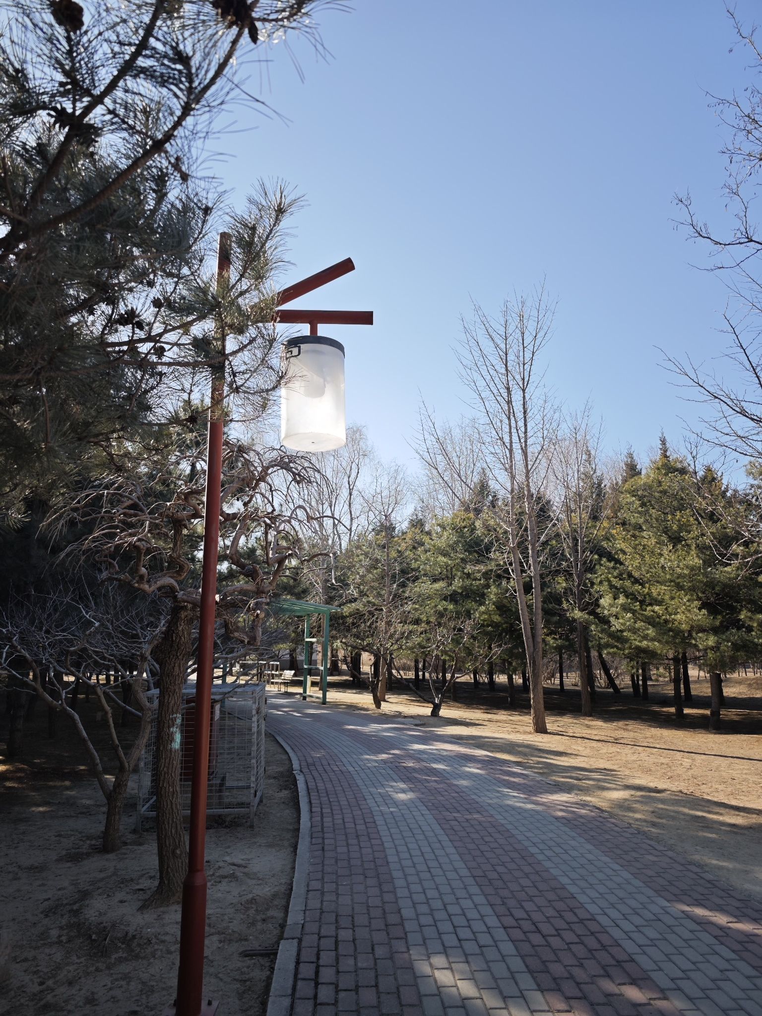 白鹿公园旅行图片 1