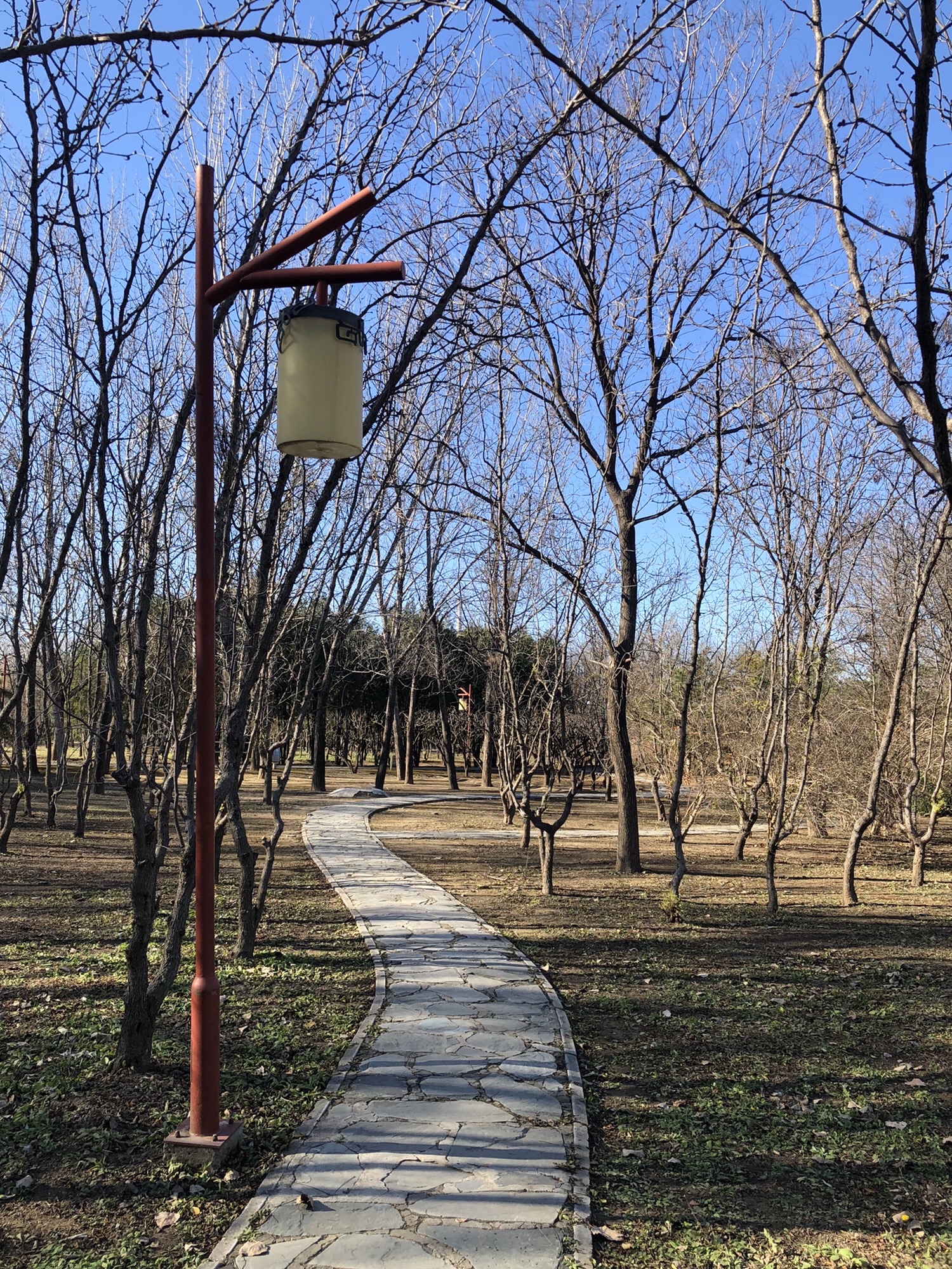 白鹿公园旅行图片 2