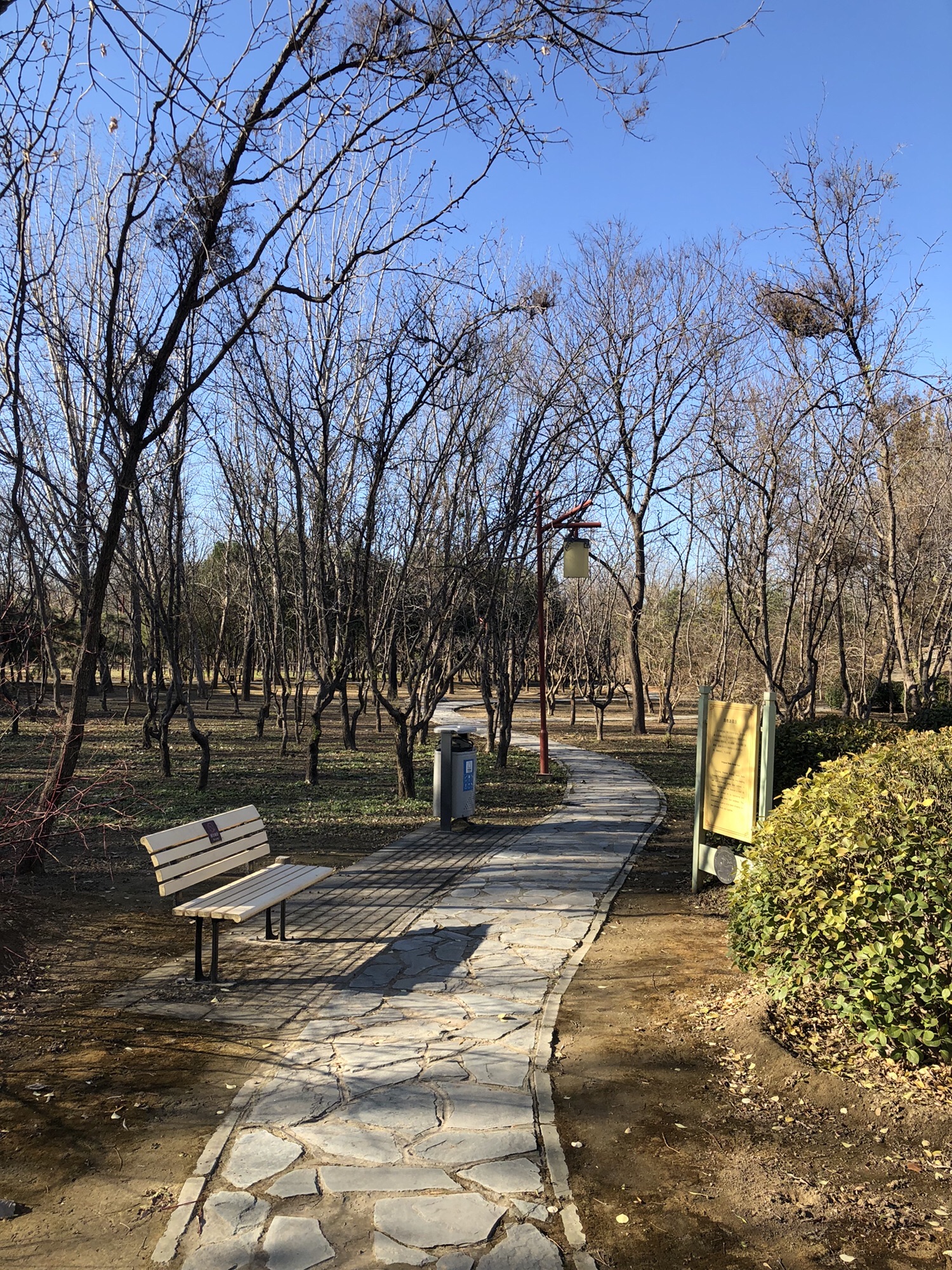 白鹿公园旅行图片 3