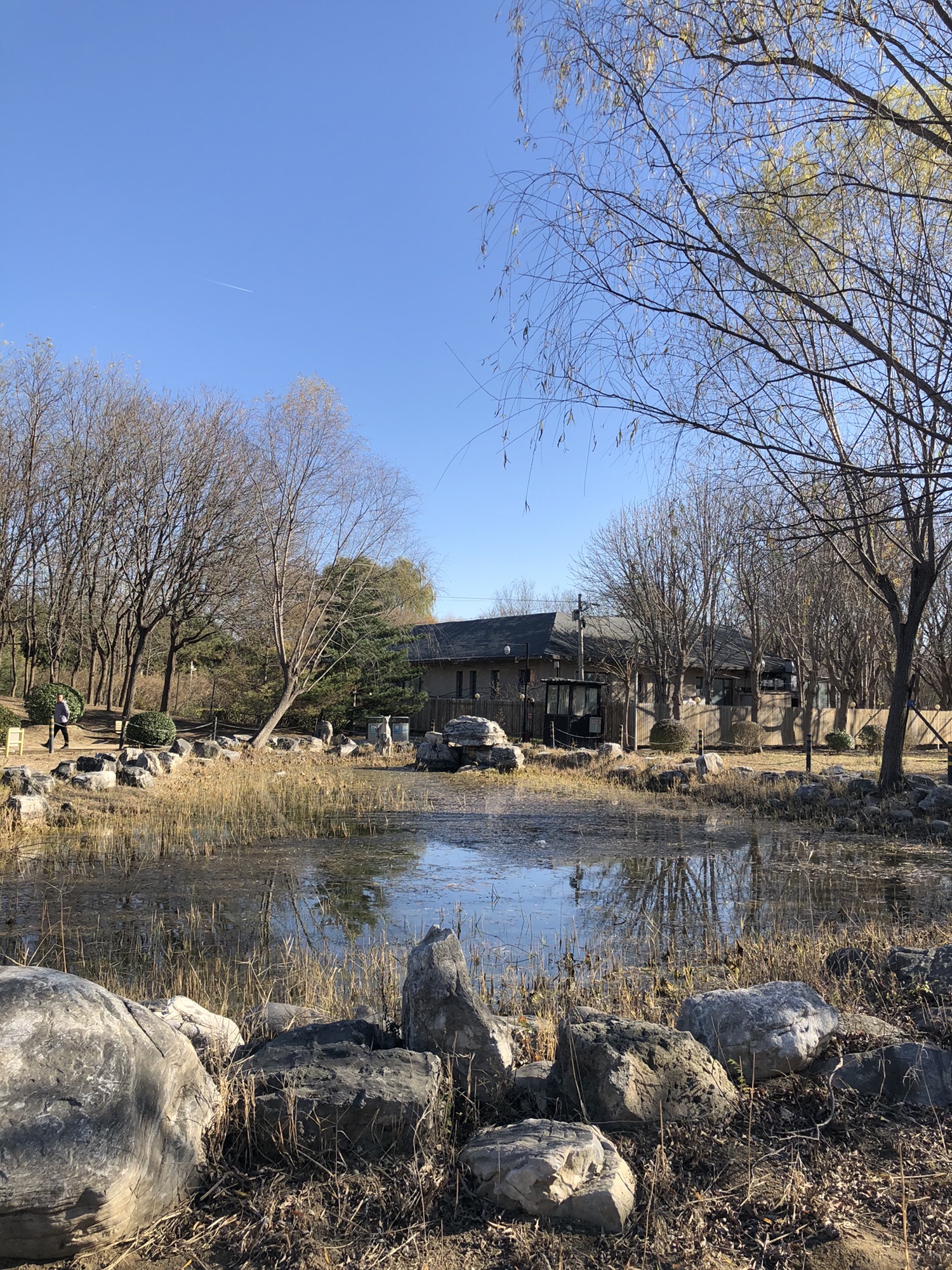 白鹿公园旅行图片 1