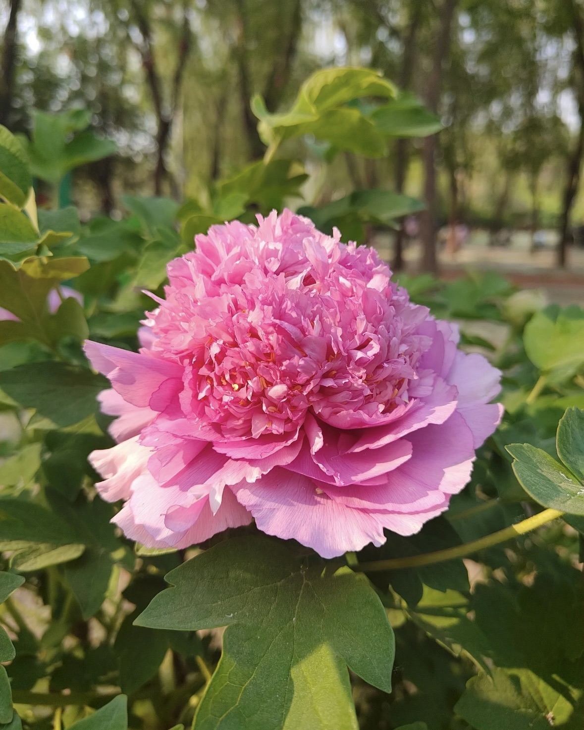 长阳体育公园旅行图片 3