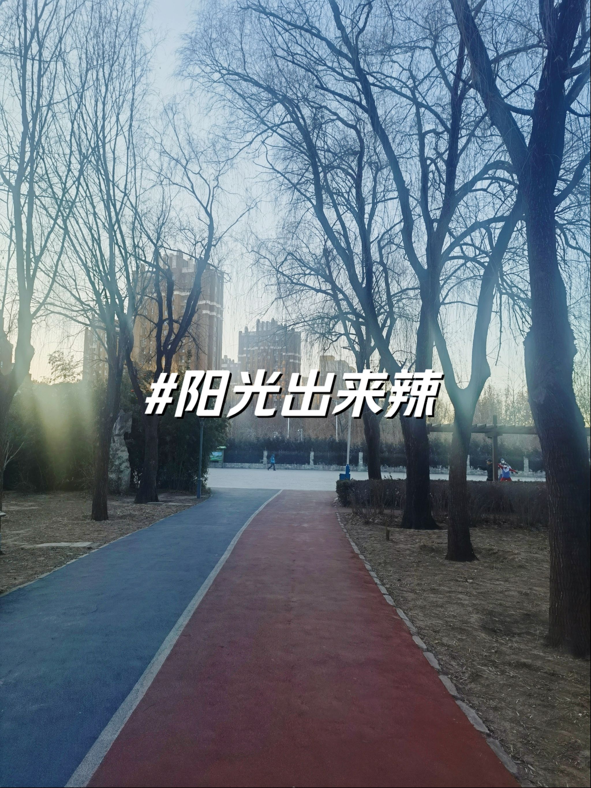 长阳体育公园旅行图片 2
