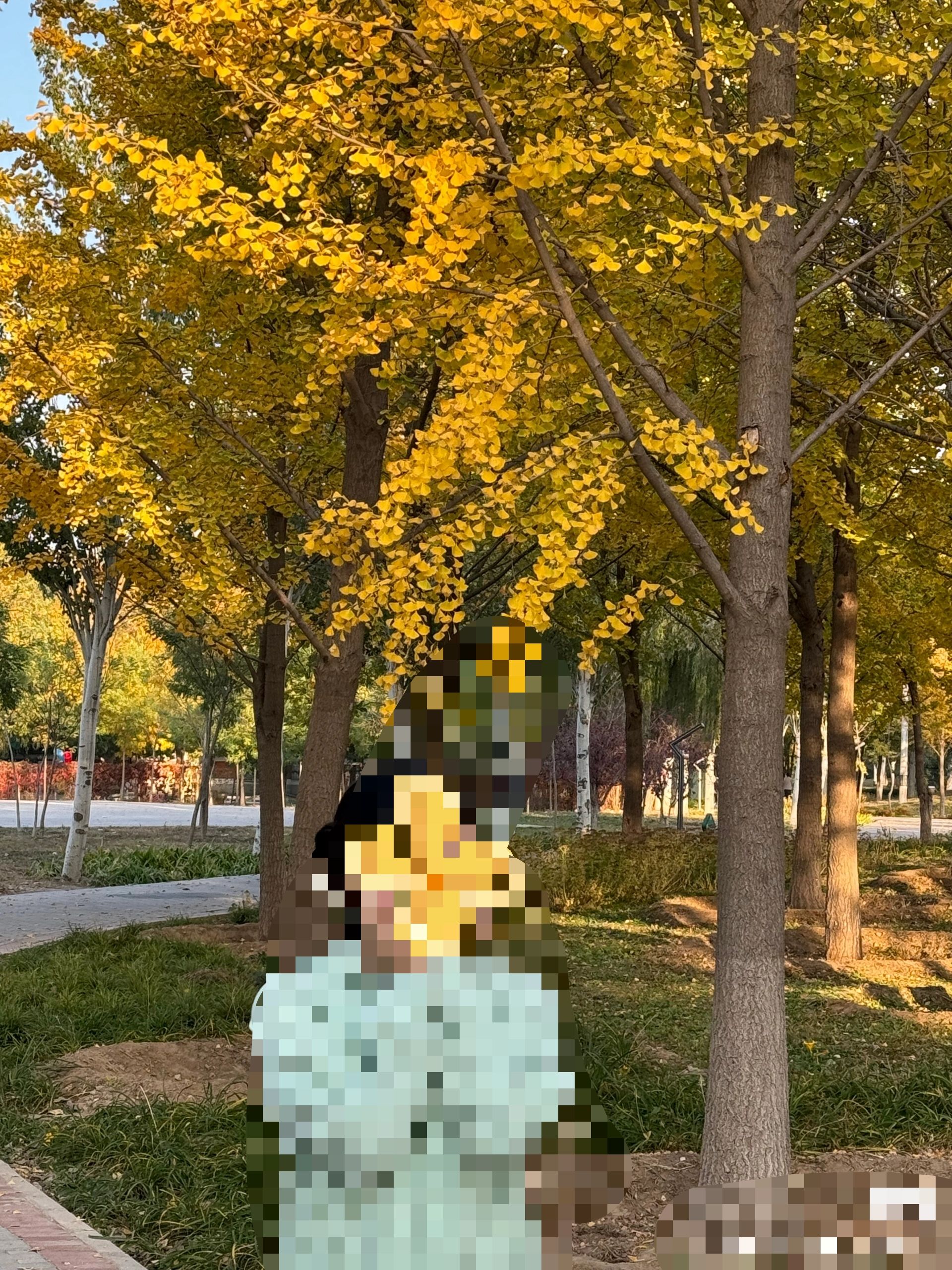看丹公园旅行图片 1