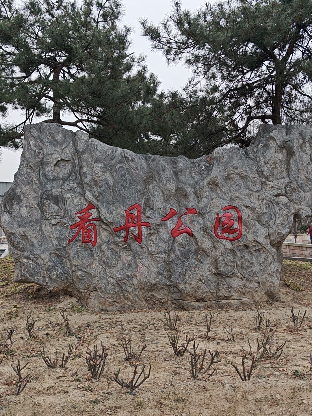 看丹公园旅行图片 2