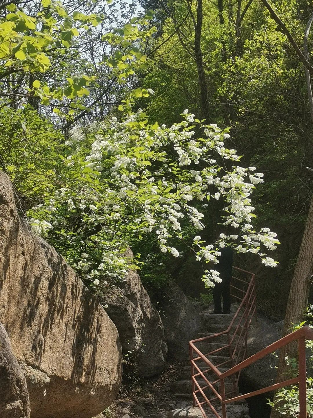 东极仙谷自然风景区旅行图片 3