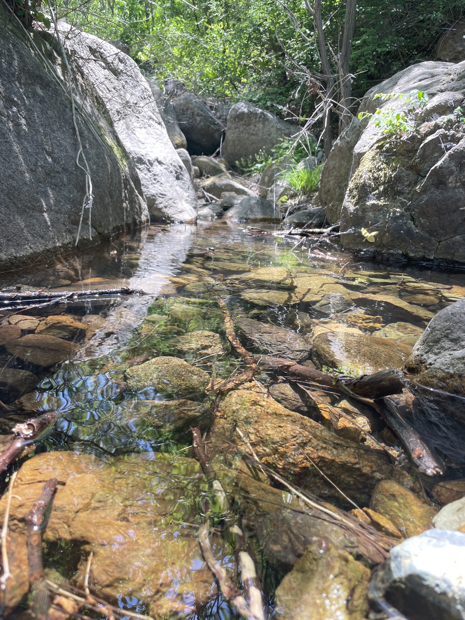 东极仙谷自然风景区旅行图片 3