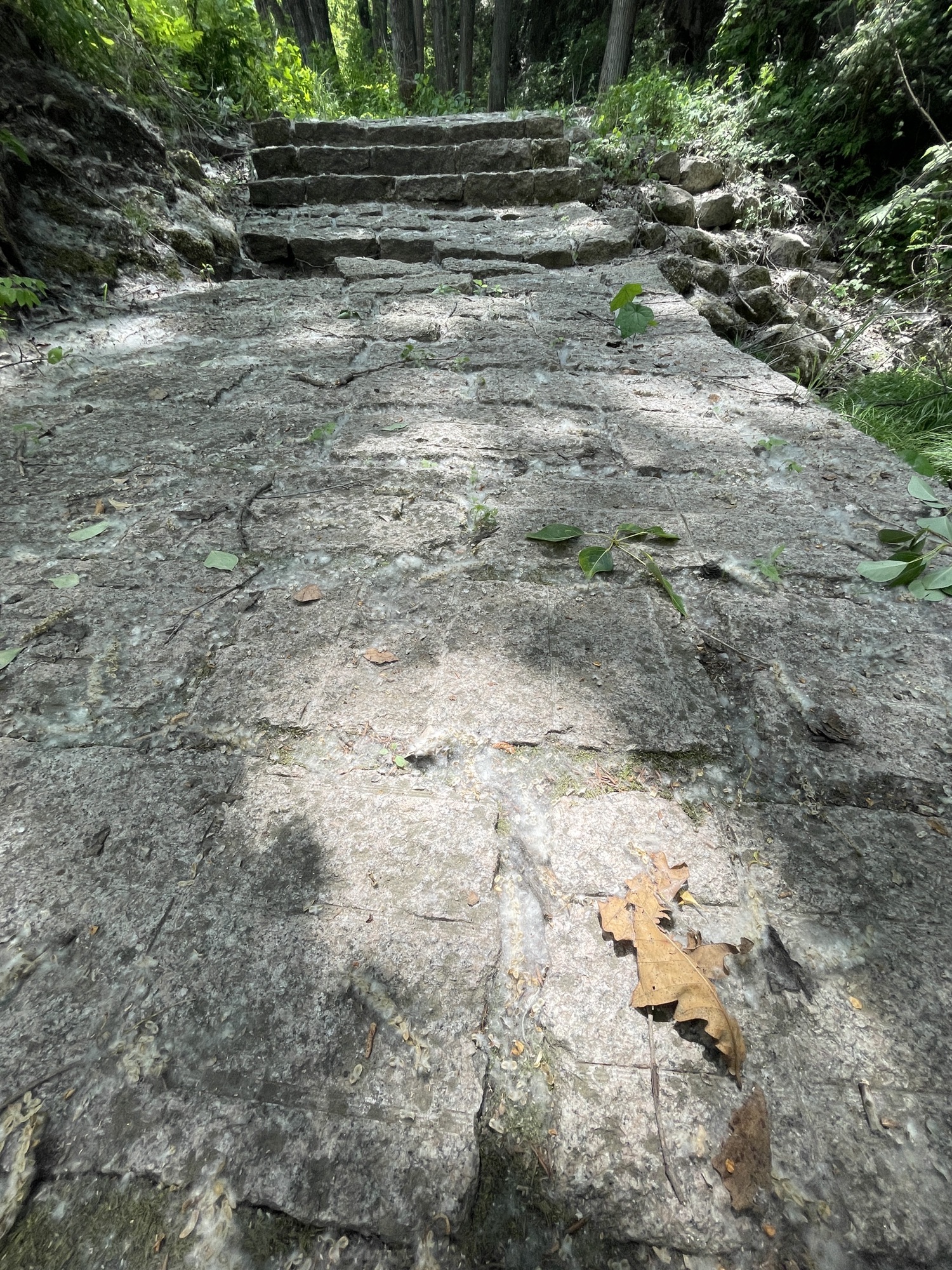 东极仙谷自然风景区旅行图片 1