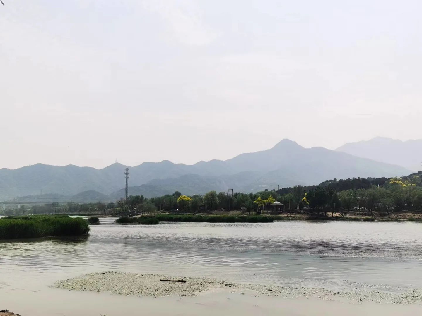 京西月季洲旅行图片 2