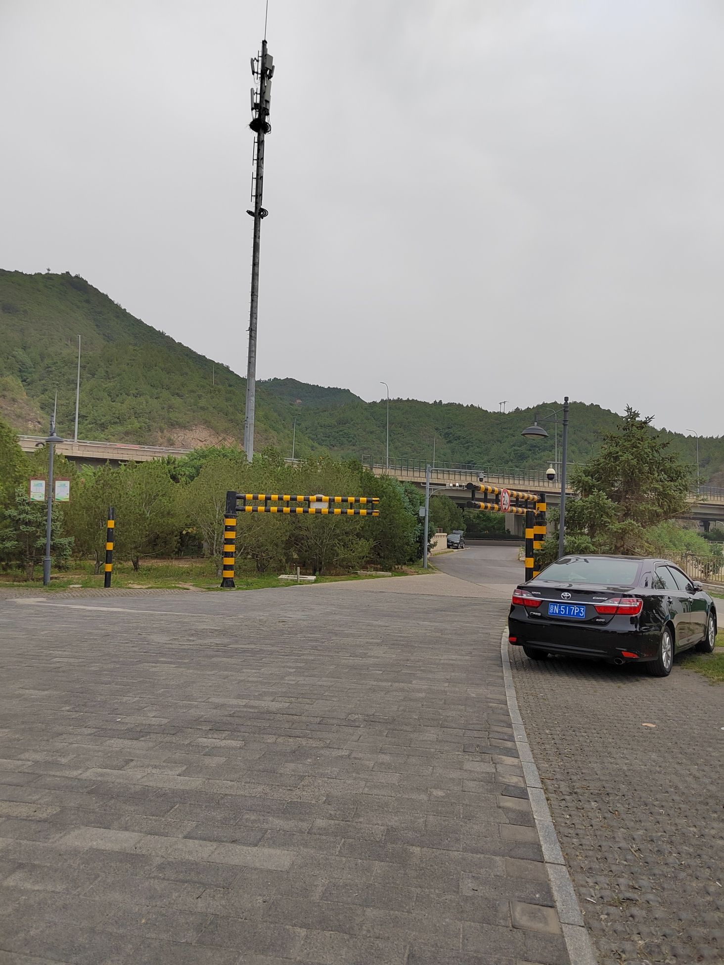 京西月季洲旅行图片 3