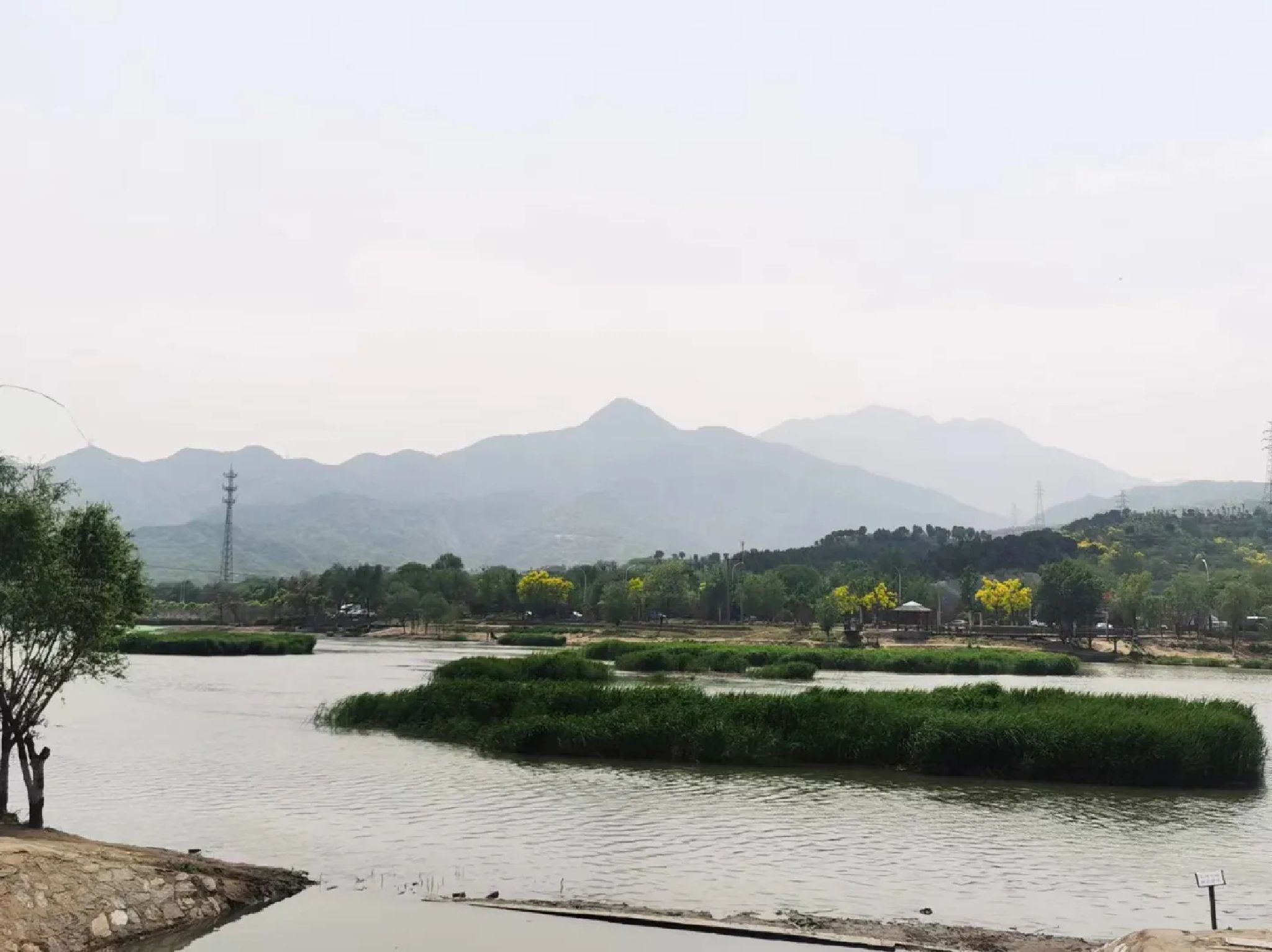 京西月季洲旅行图片 1