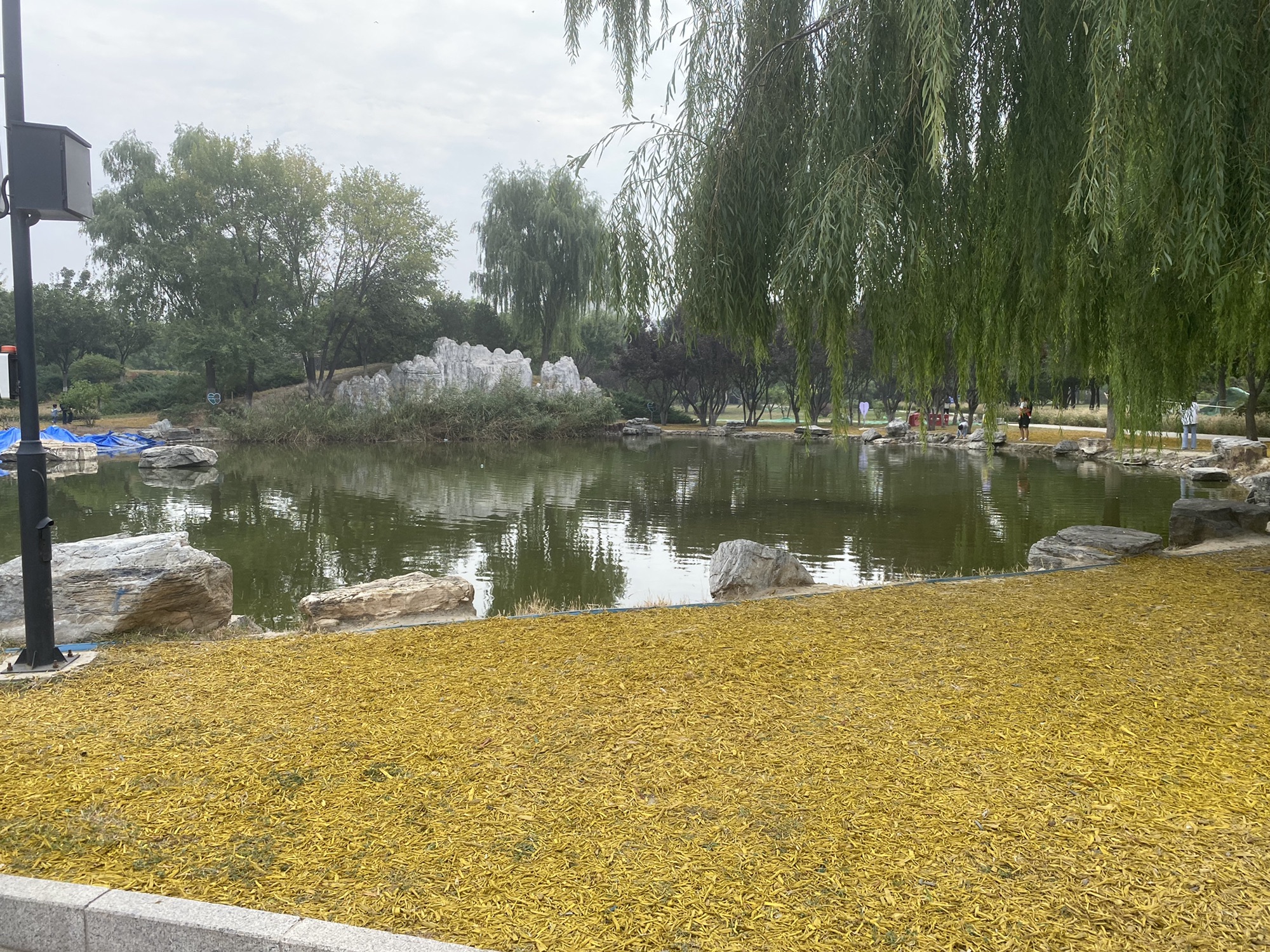 杜仲公园旅行图片 1
