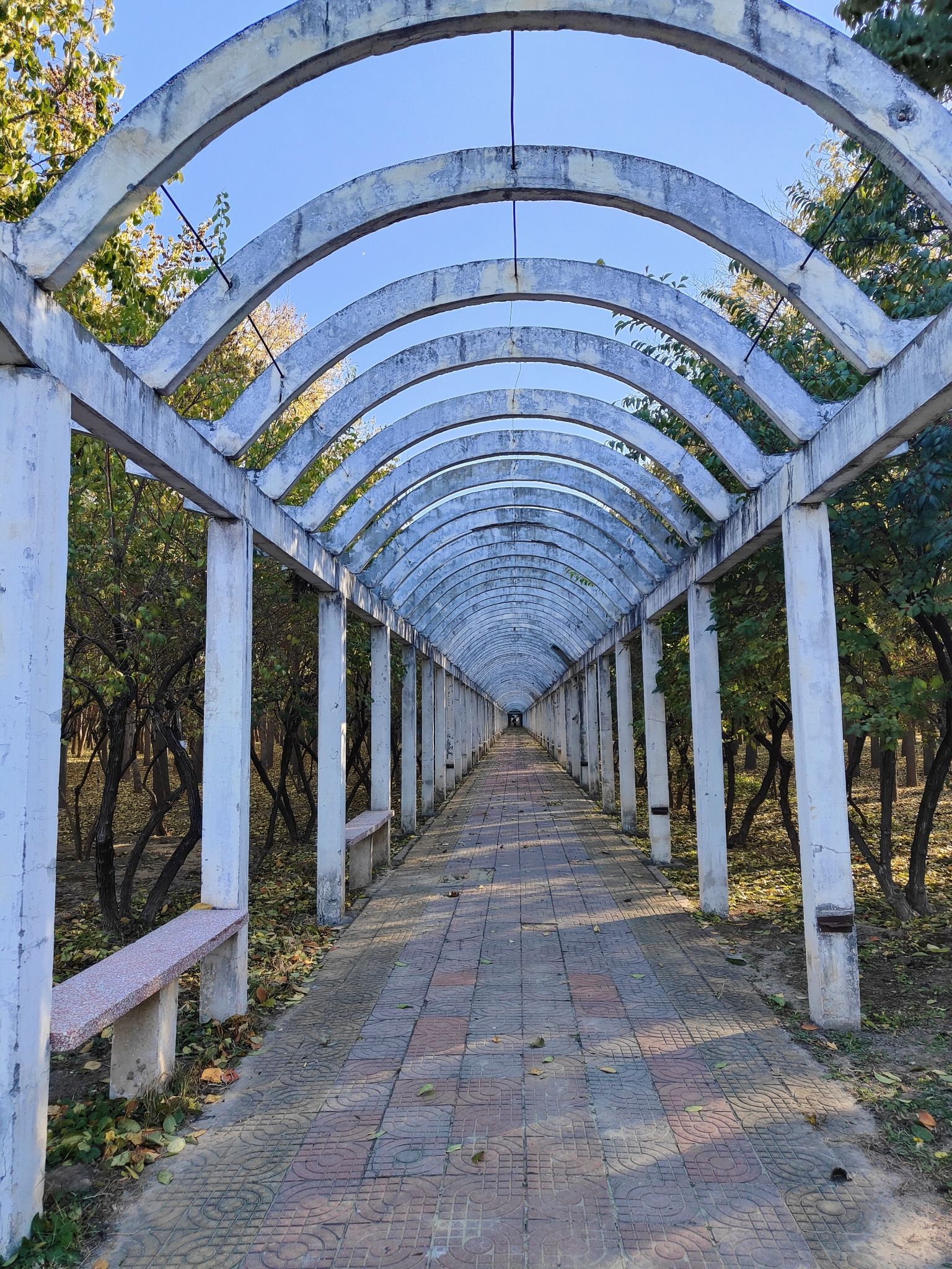 杜仲公园旅行图片 2