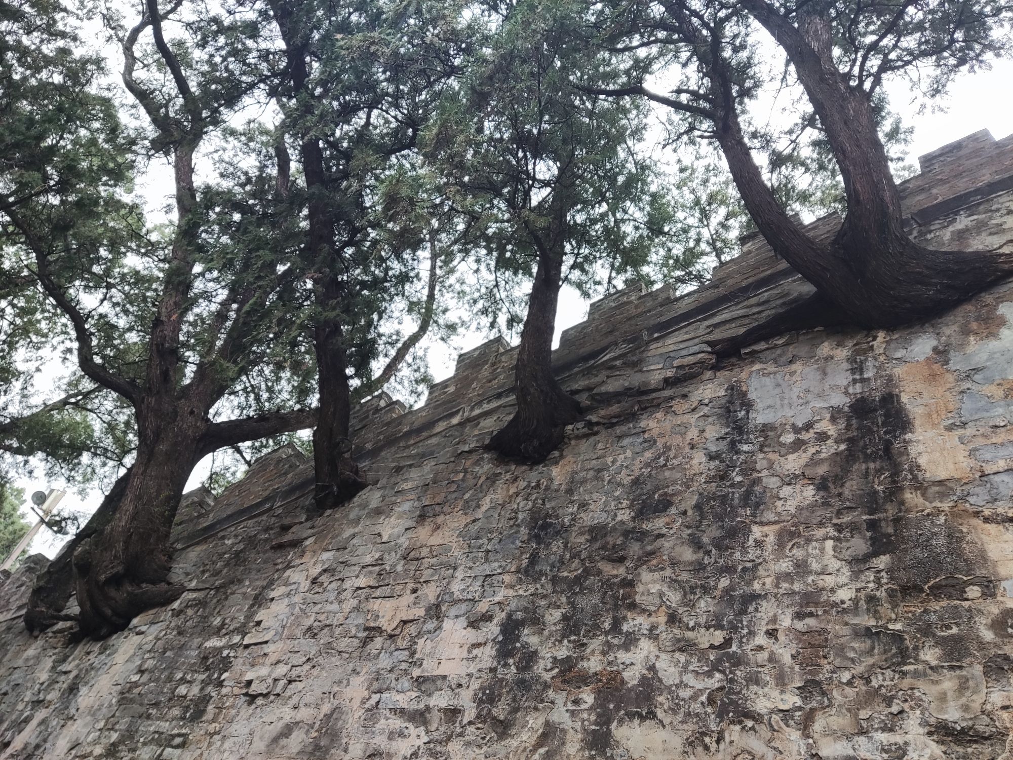 明十三陵景区旅行图片 2