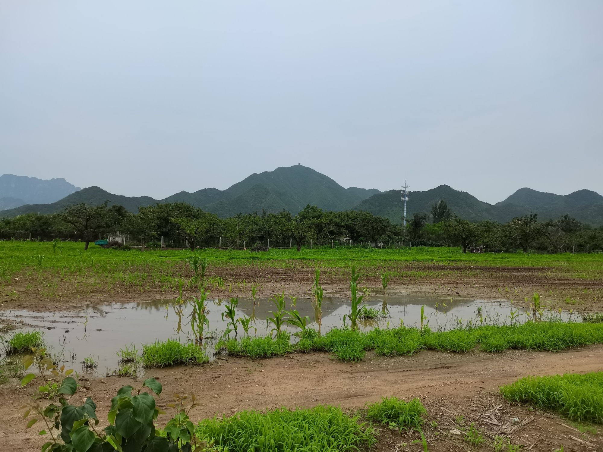 明十三陵景区旅行图片 1
