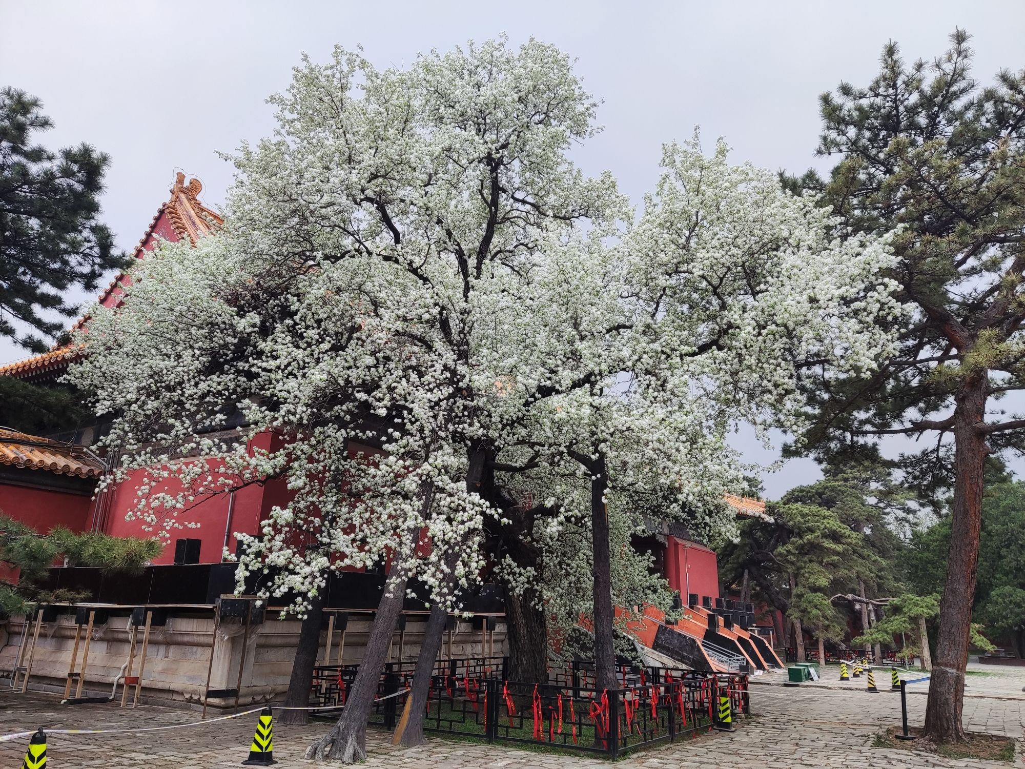 明十三陵景区旅行图片 3