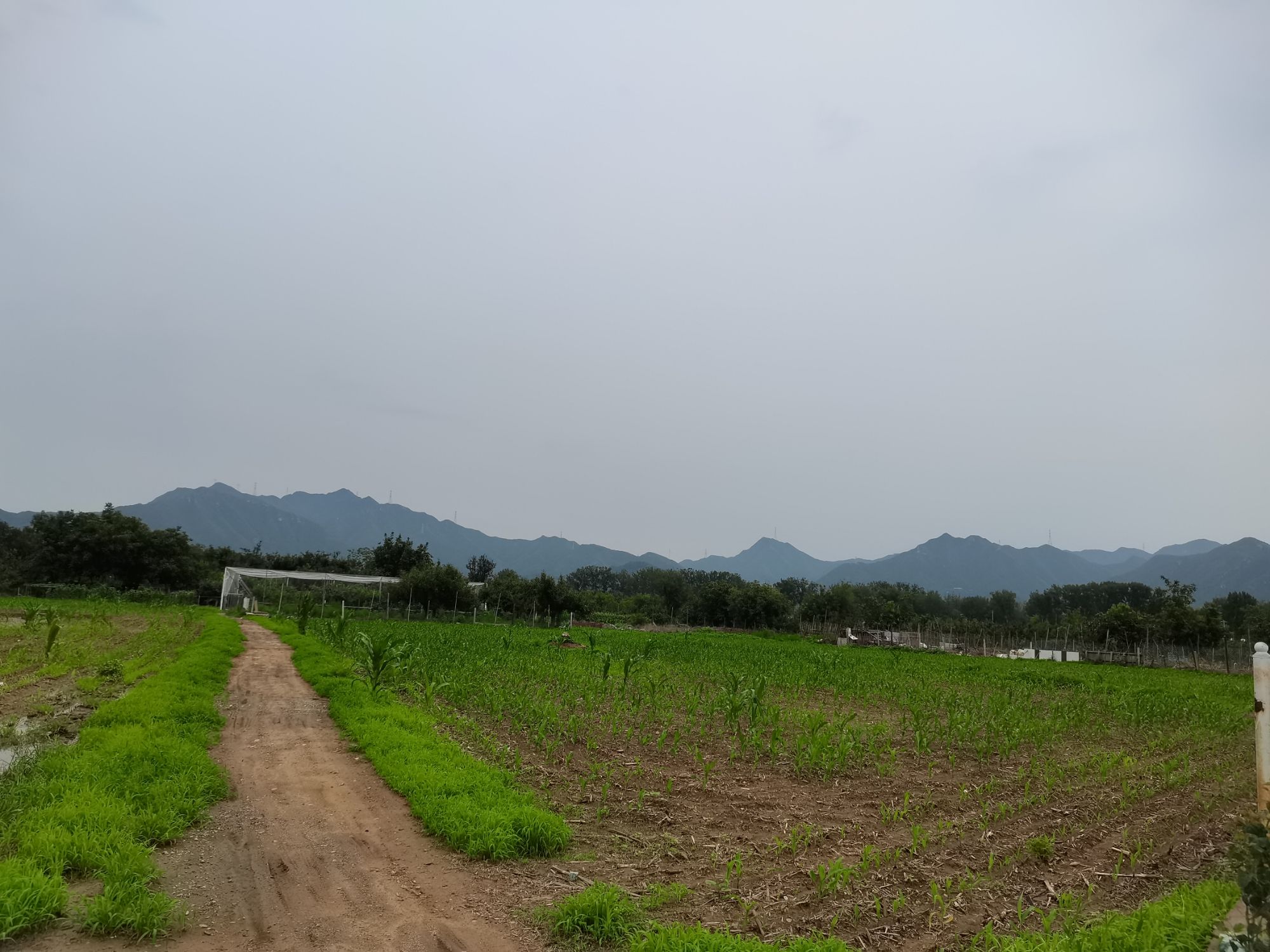 明十三陵景区旅行图片 2