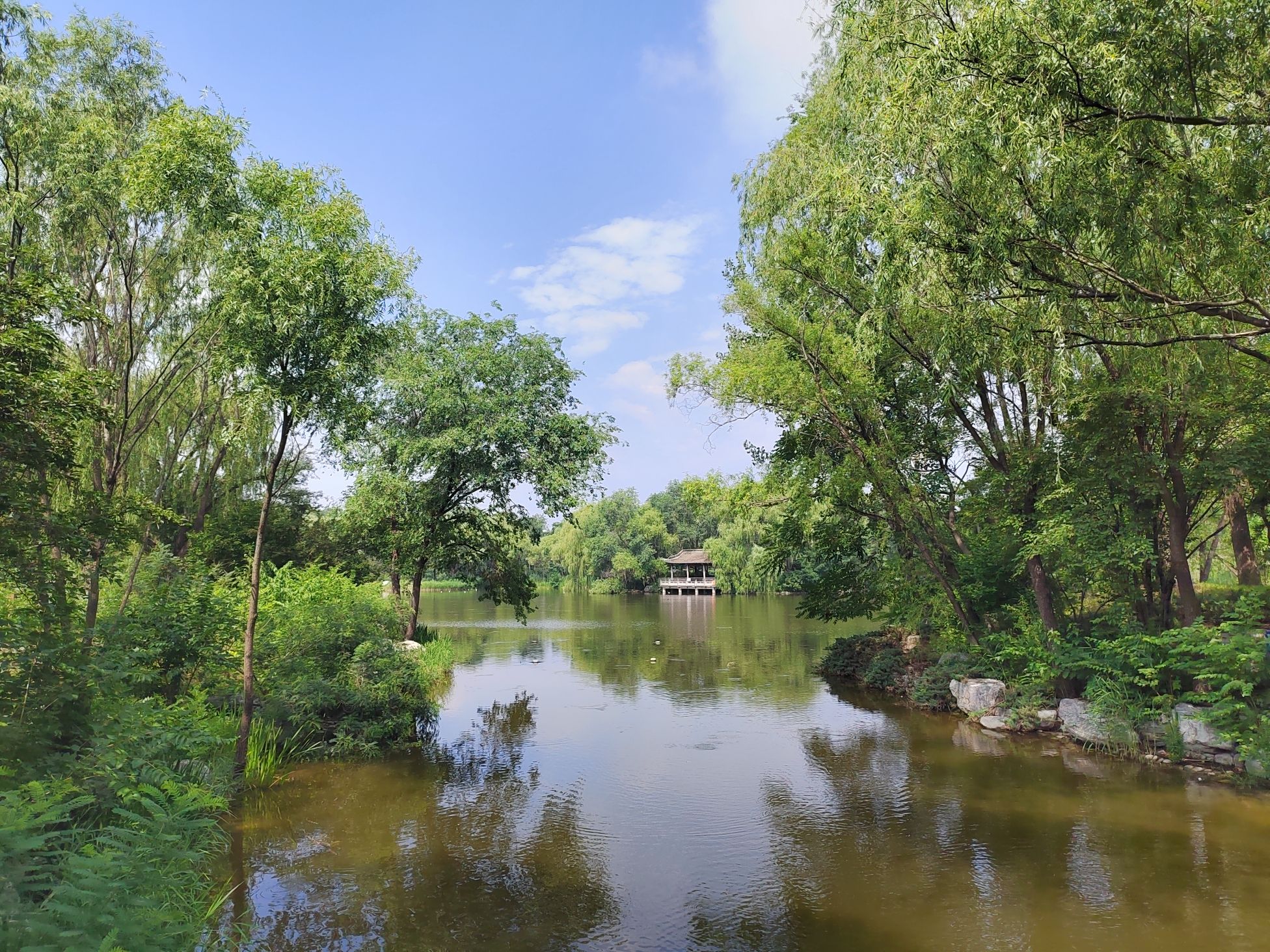 旺兴湖公园