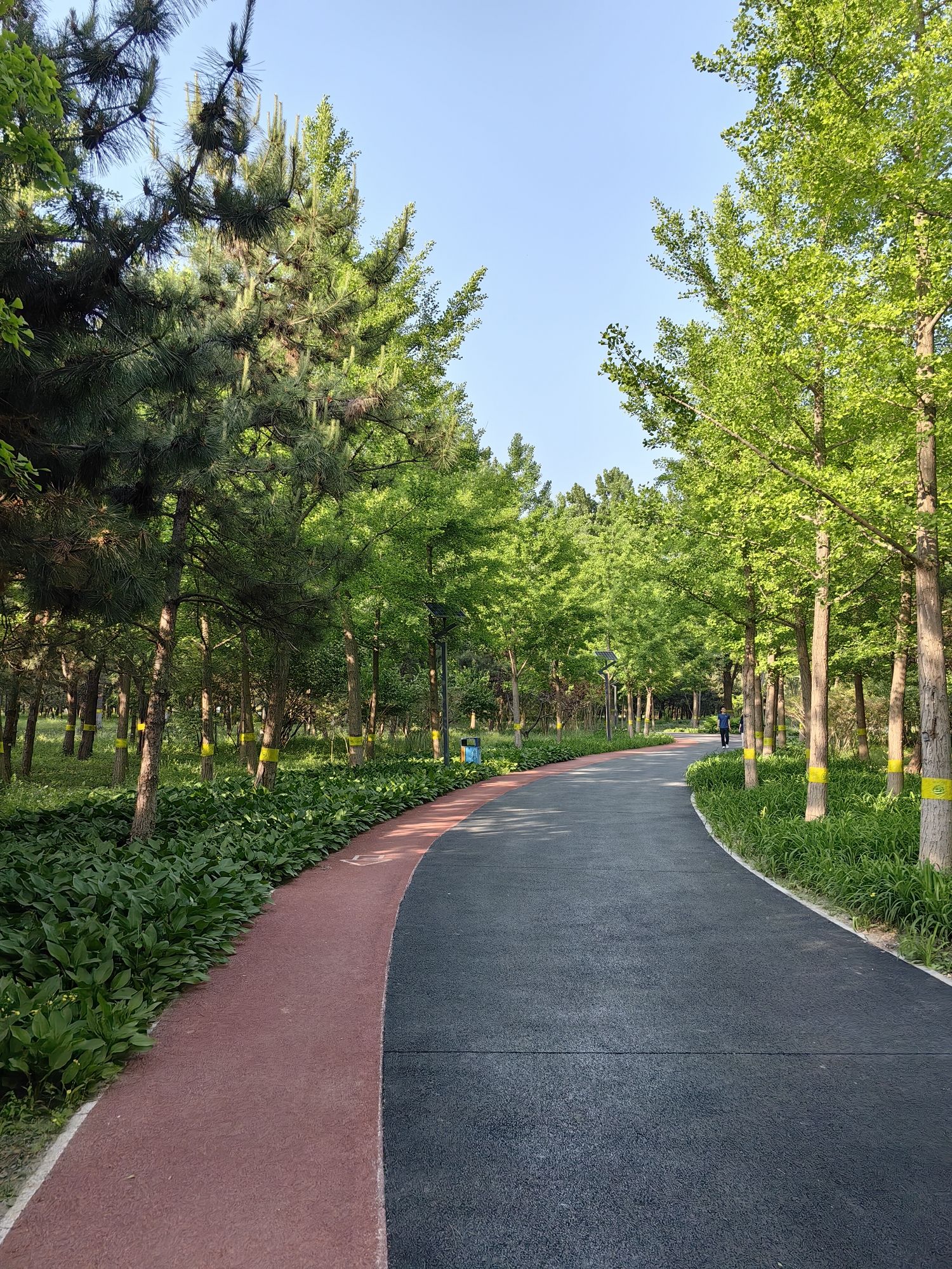 京城槐园旅行图片 3