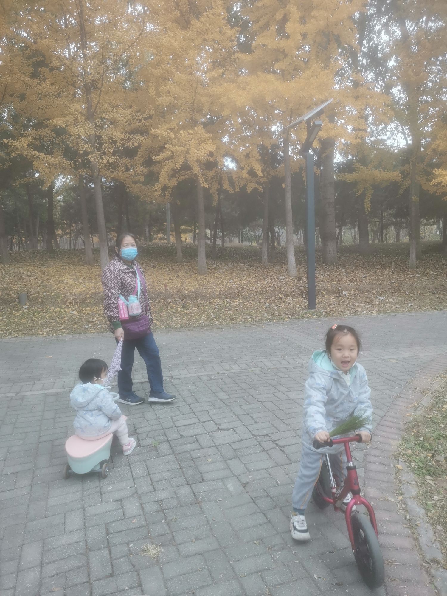 京城槐园旅行图片 1