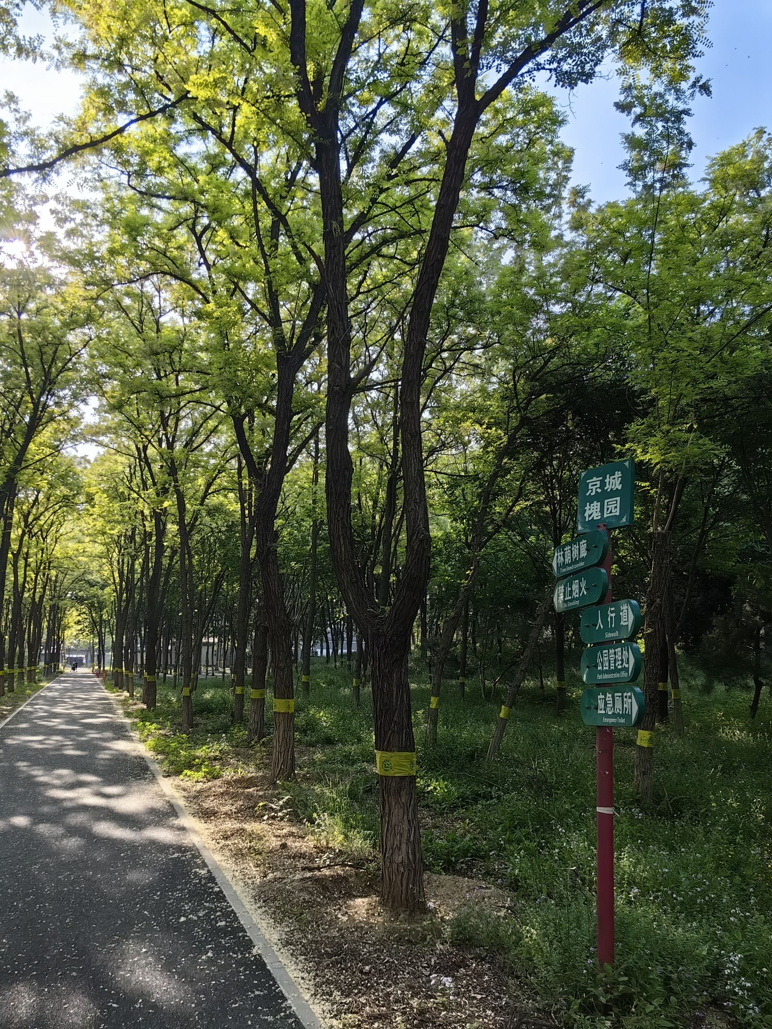 京城槐园旅行图片 2