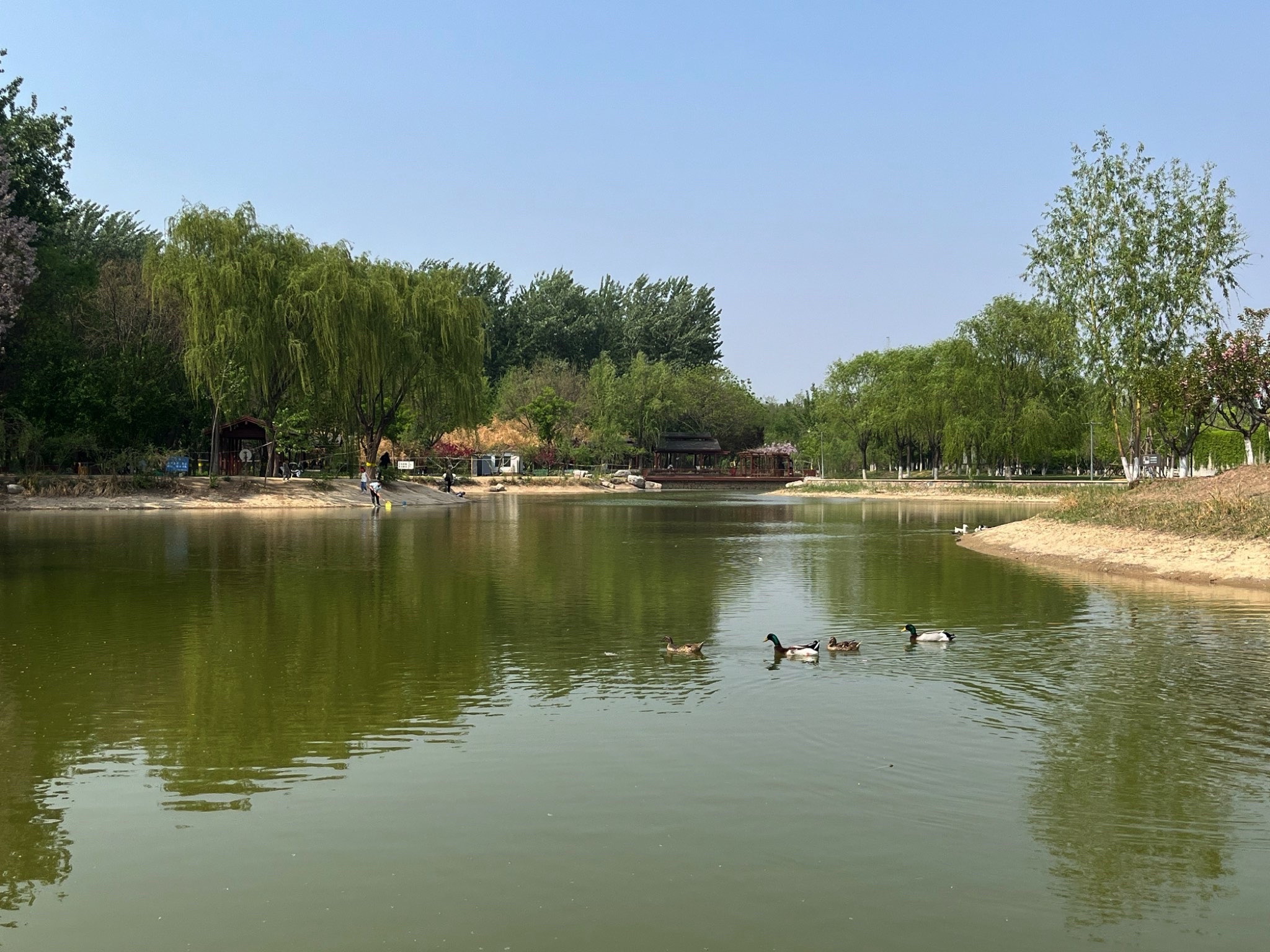 京城槐园旅行图片 3