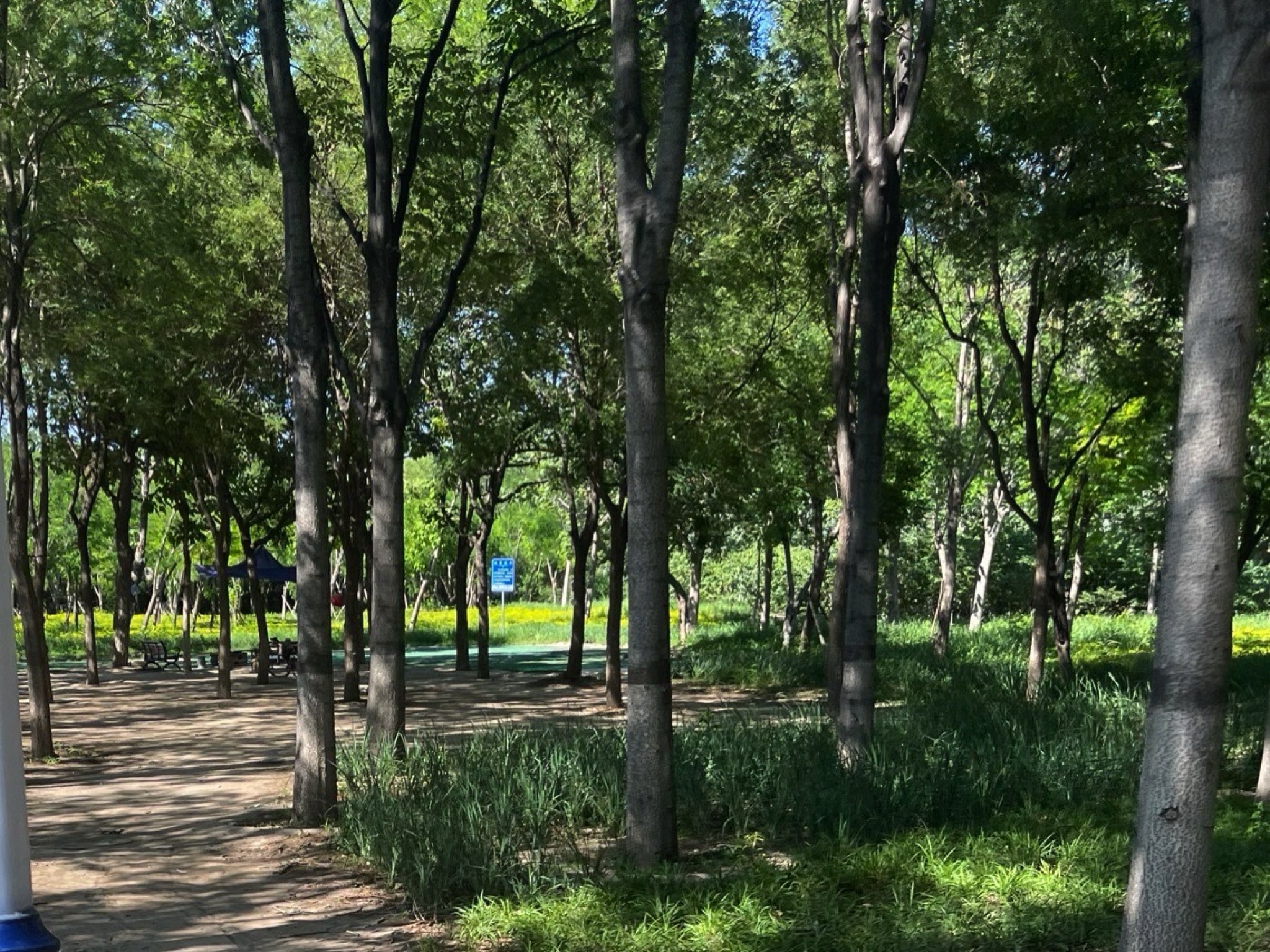 西会休闲园旅行图片 3