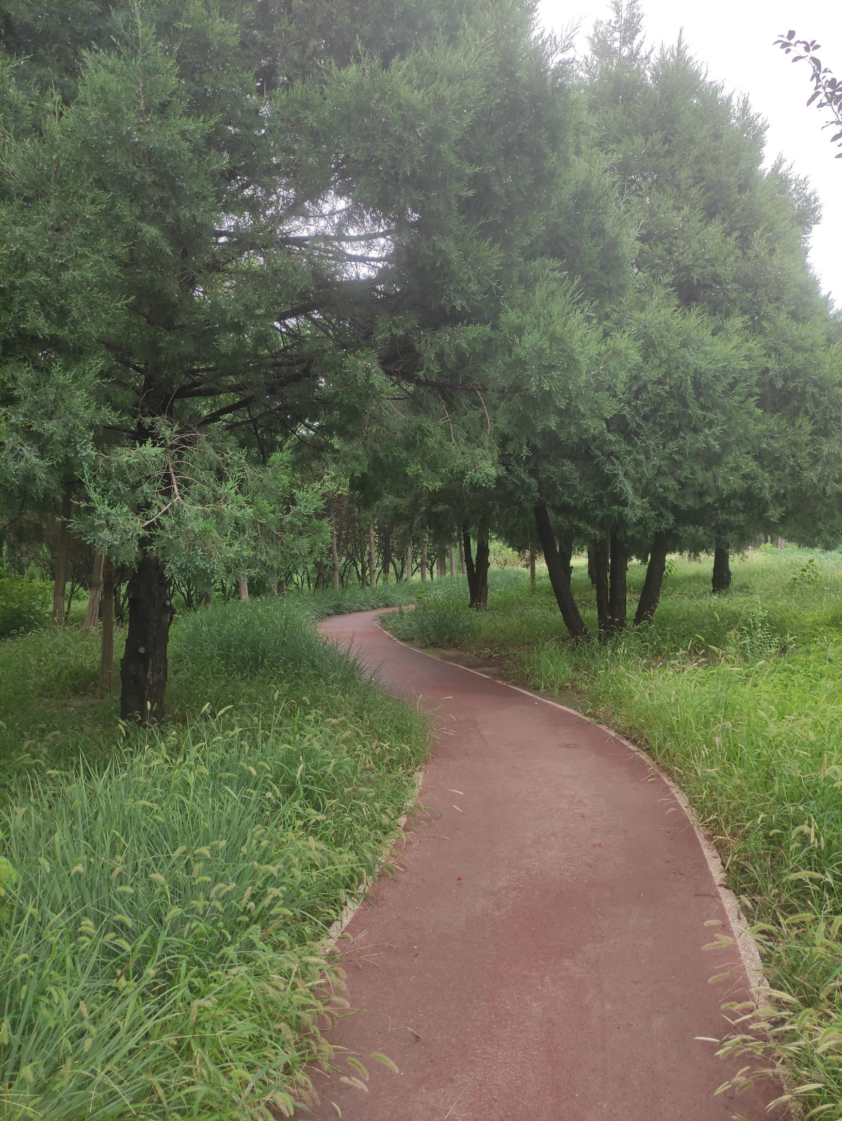 西会休闲园旅行图片 2