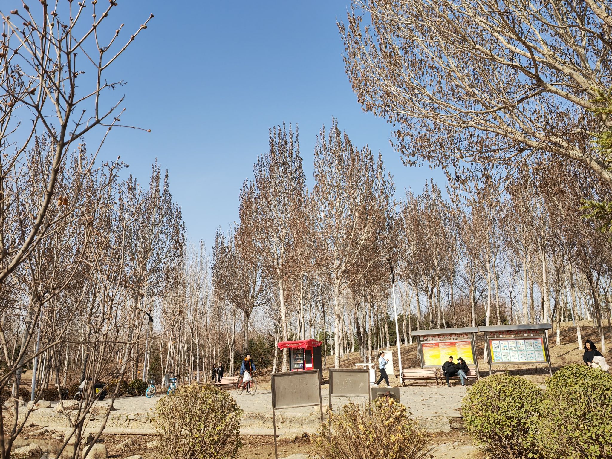 清河营郊野公园旅行图片 2