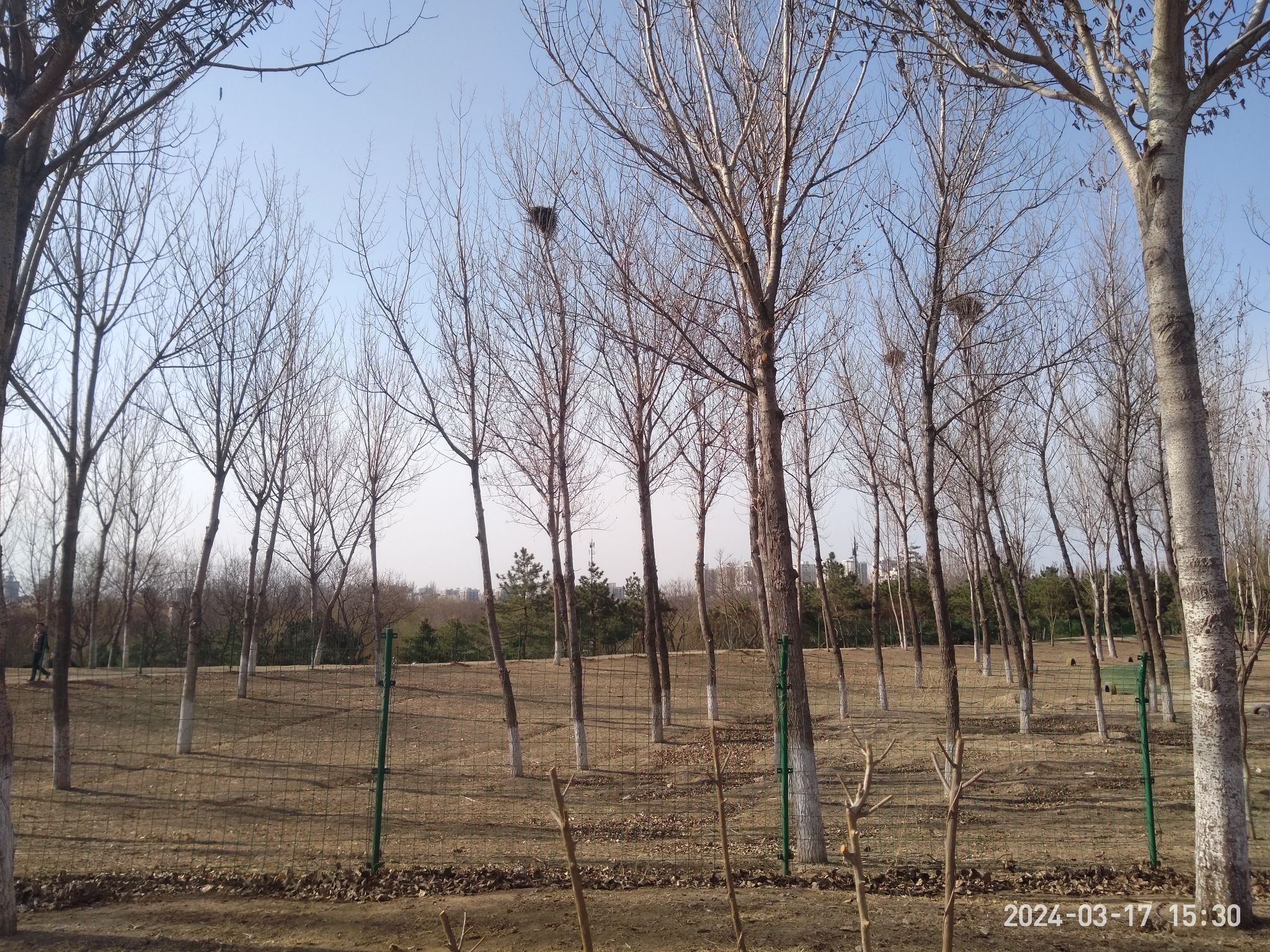 清河营郊野公园旅行图片 3