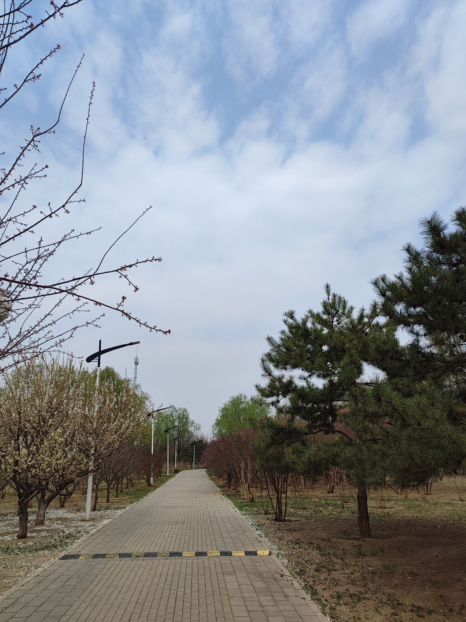 清河营郊野公园旅行图片 2
