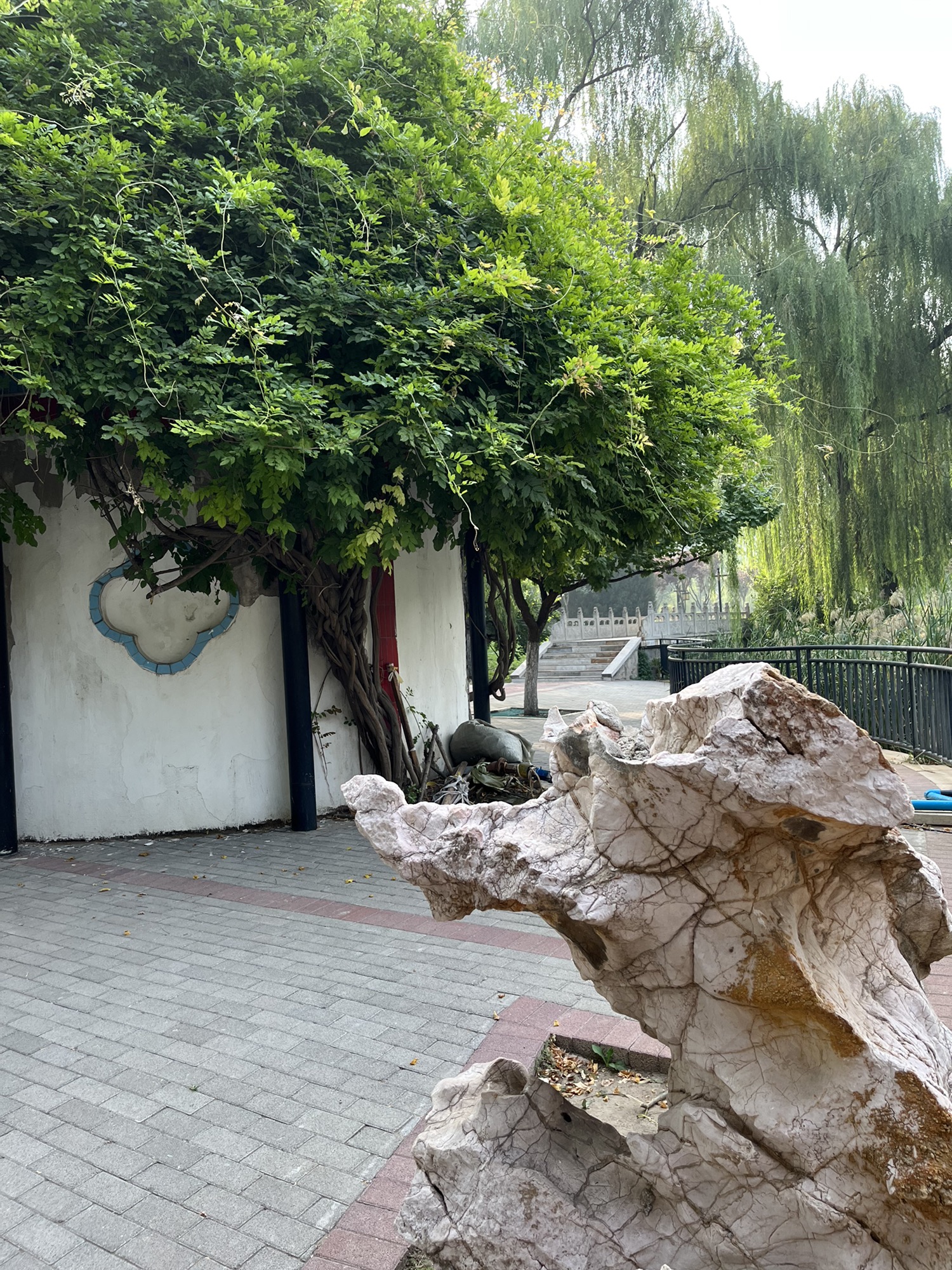 龙旺庄公园旅行图片 3