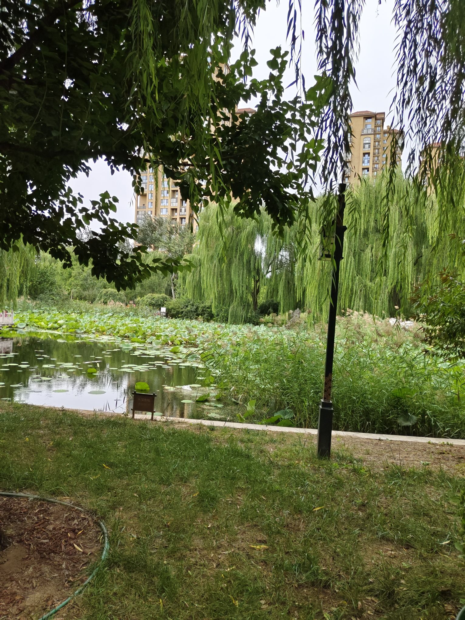 龙旺庄公园旅行图片 2