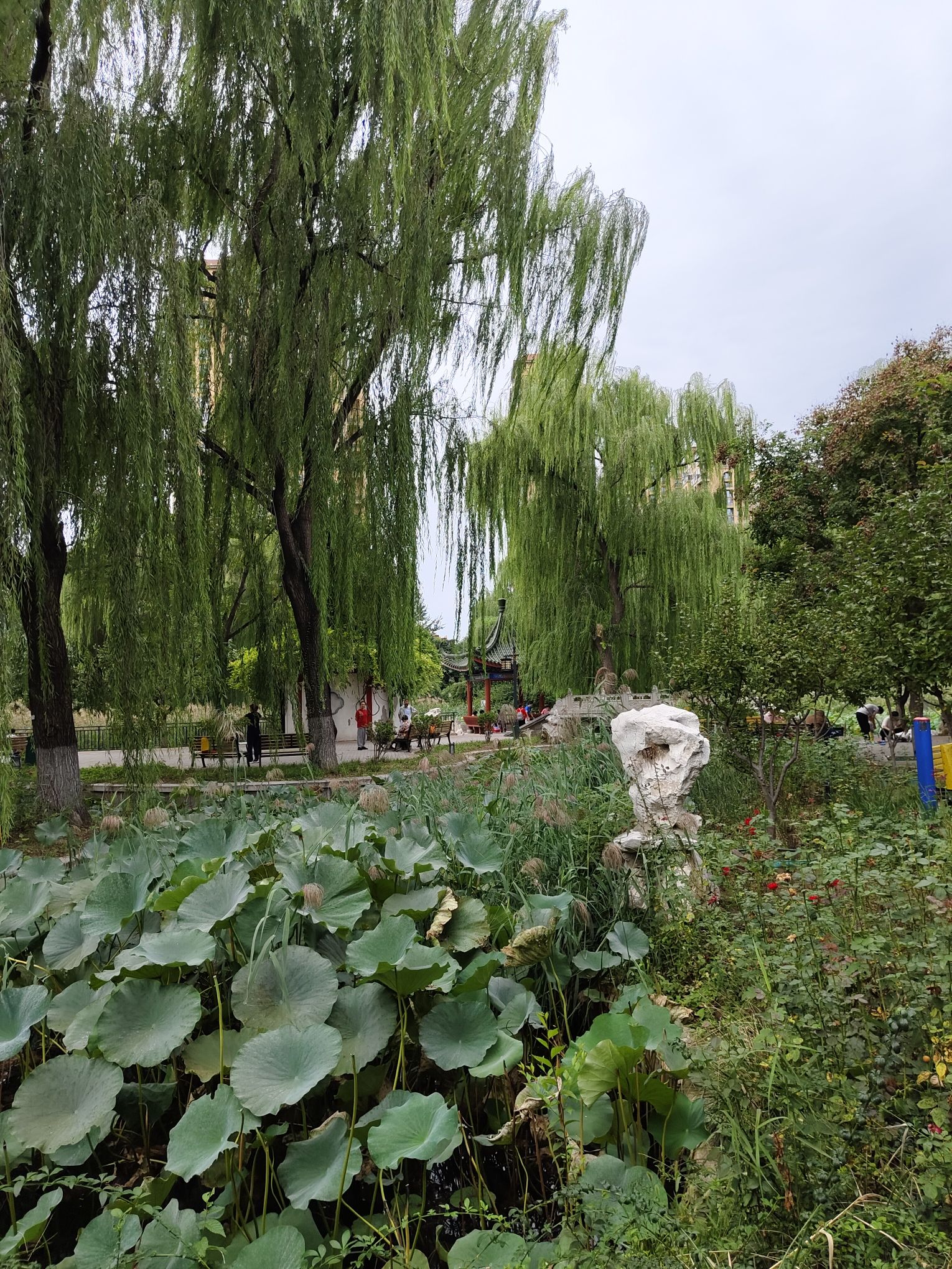 龙旺庄公园旅行图片 3