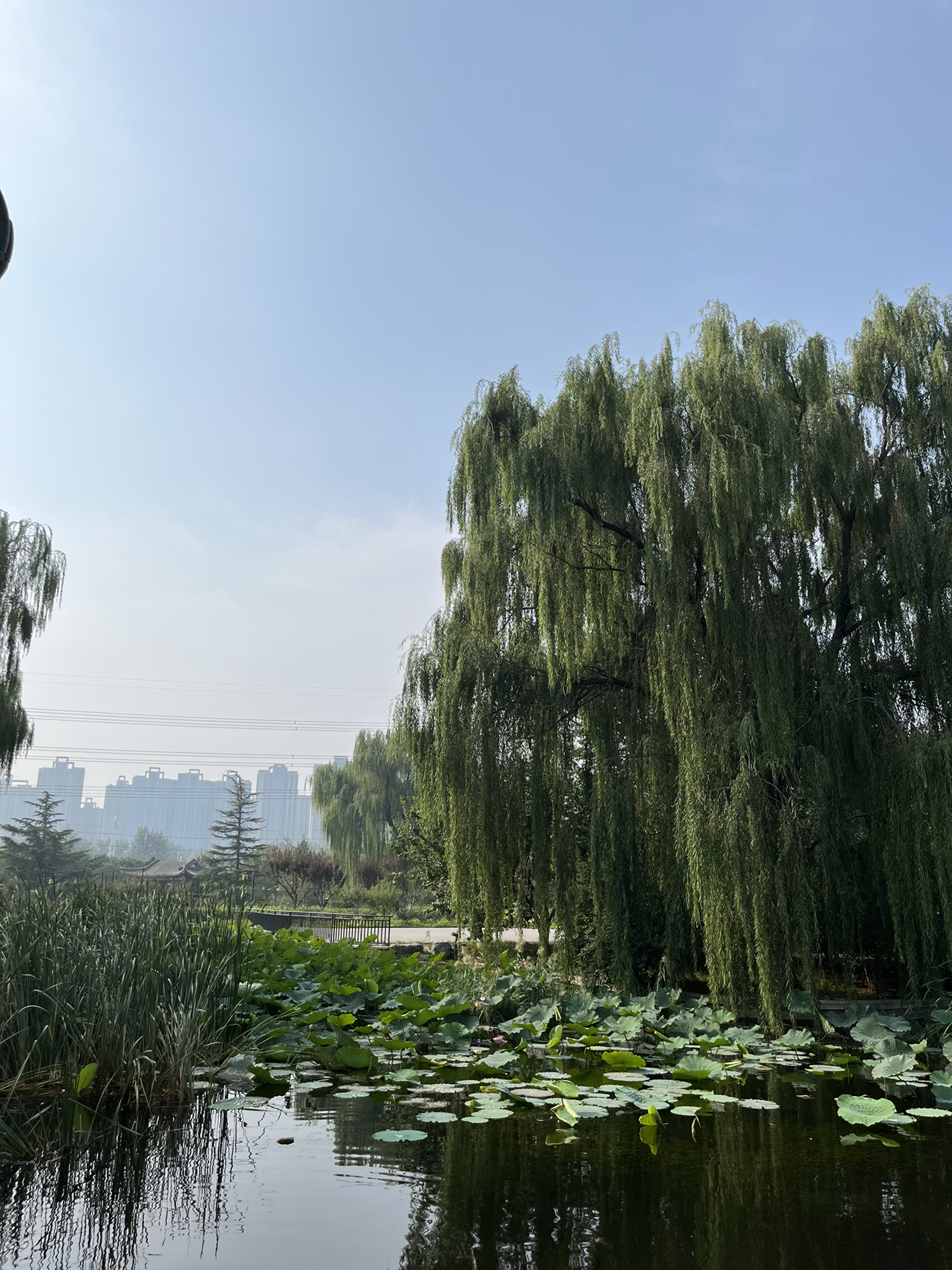 龙旺庄公园旅行图片 2