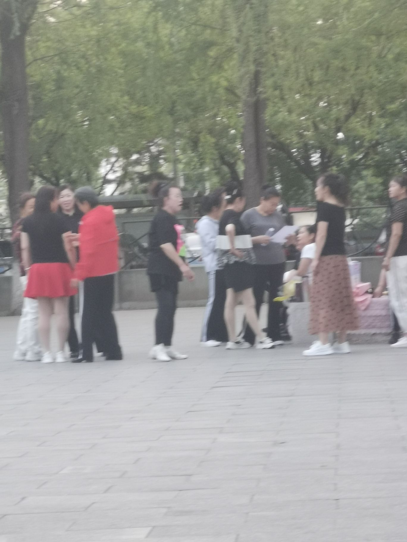法制公园旅行图片 2