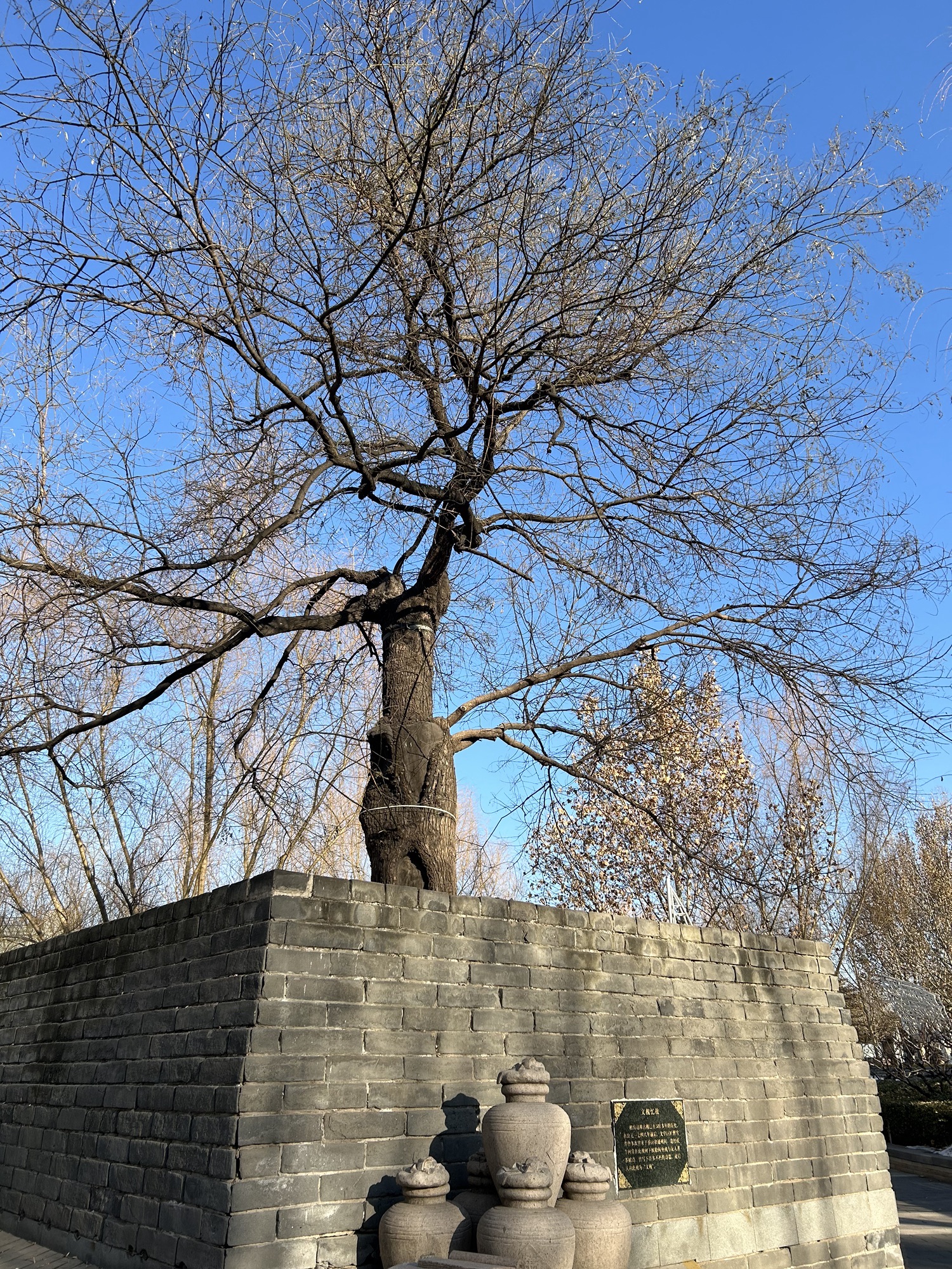 庆丰公园旅行图片 2