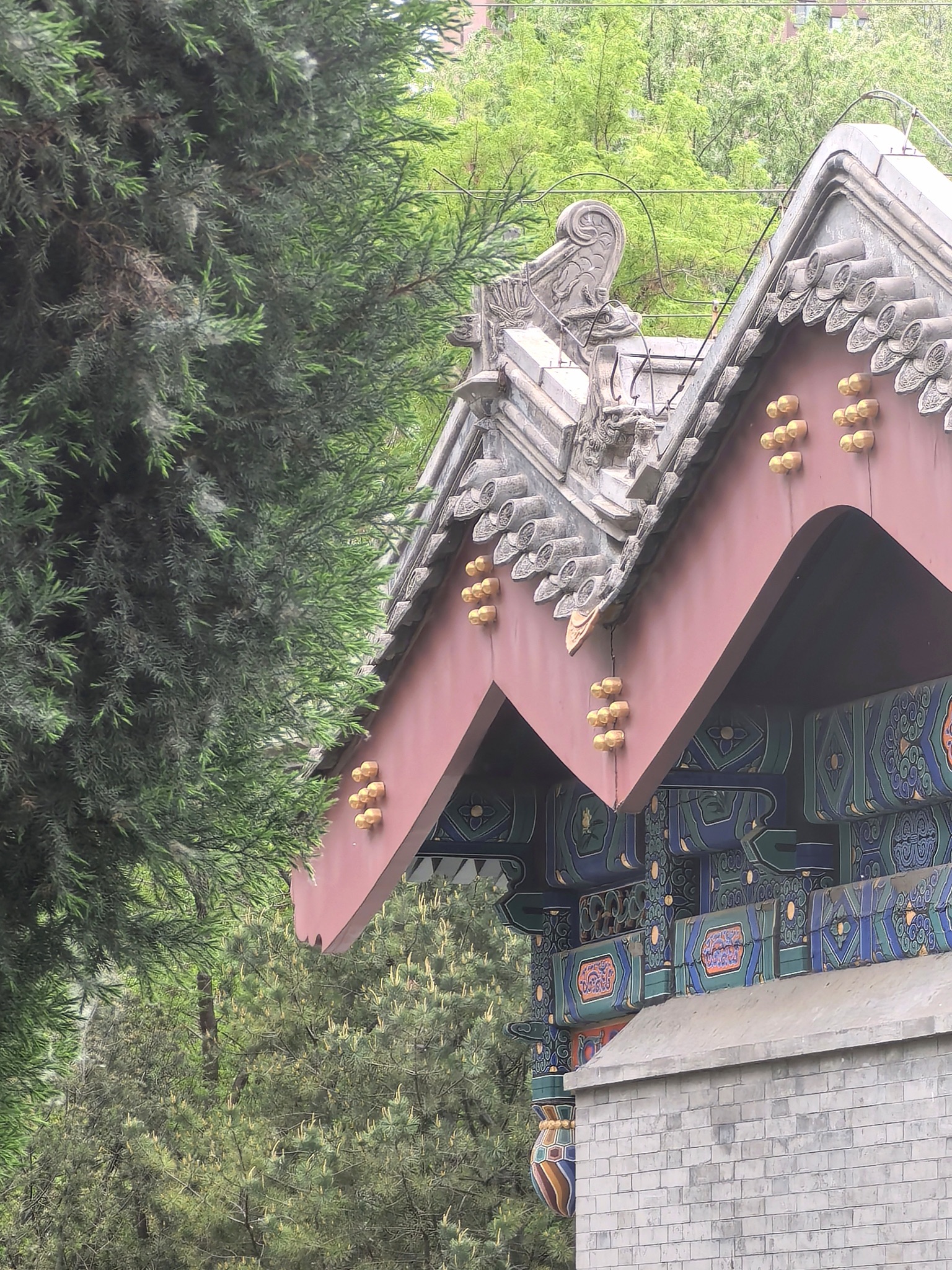 庆丰公园旅行图片 3